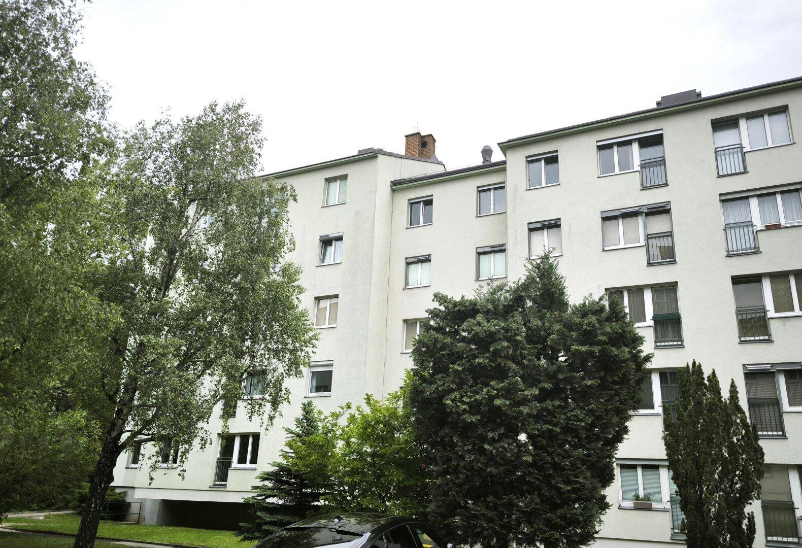 Slide 8