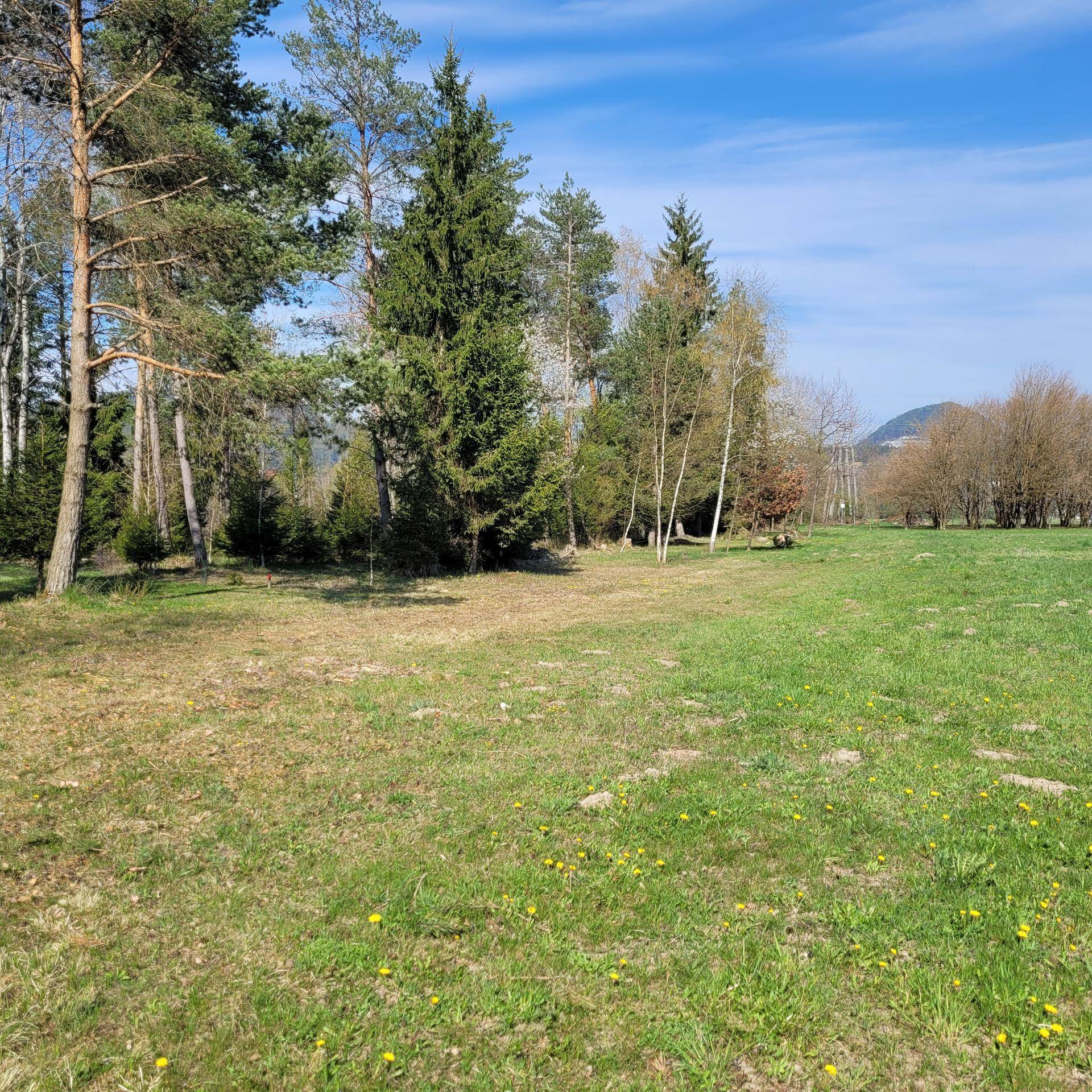 Sonniges Grundstück mit Umwidmungspotenzial im Rosental - Mehr