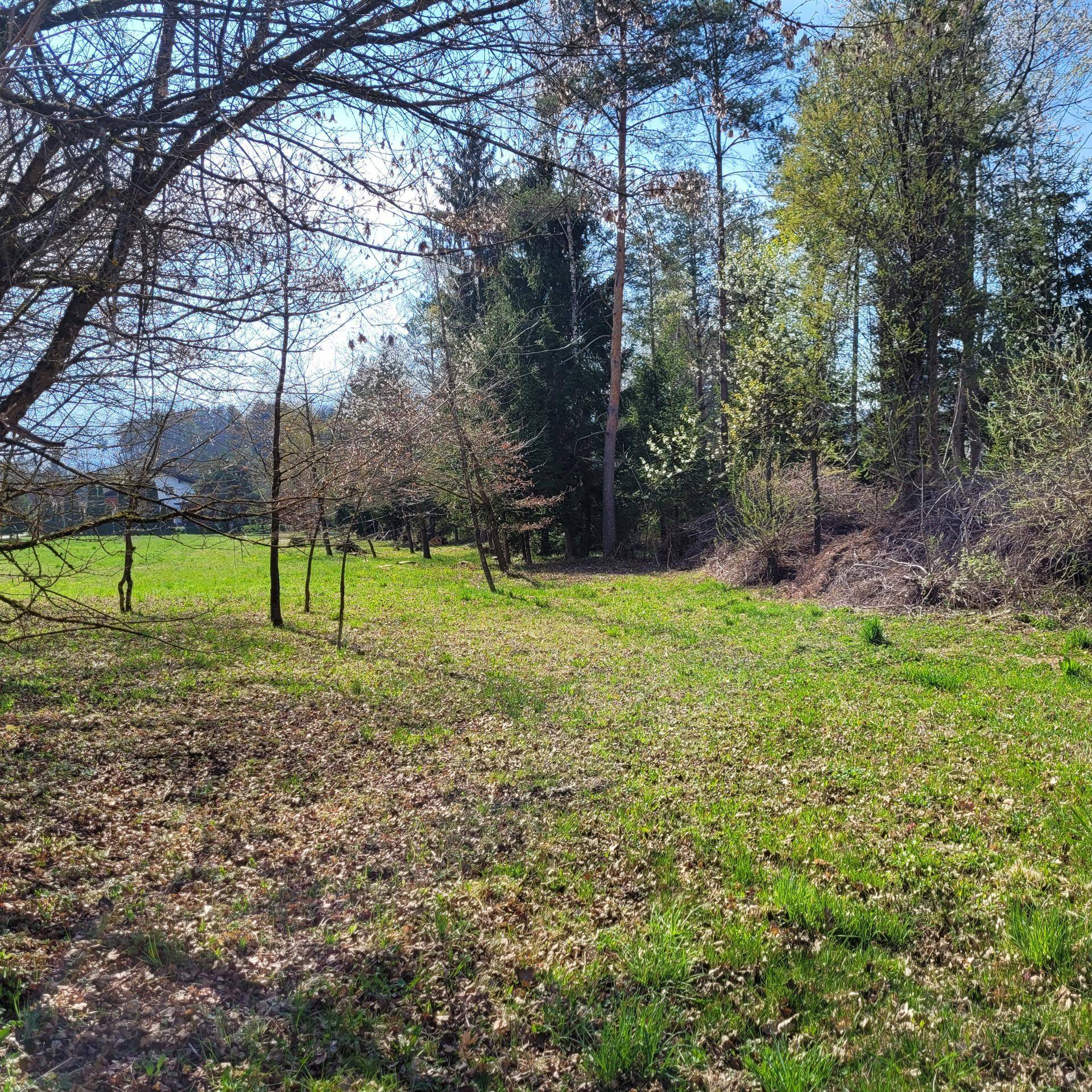 Sonniges Grundstück mit Umwidmungspotenzial im Rosental - Ansicht 6