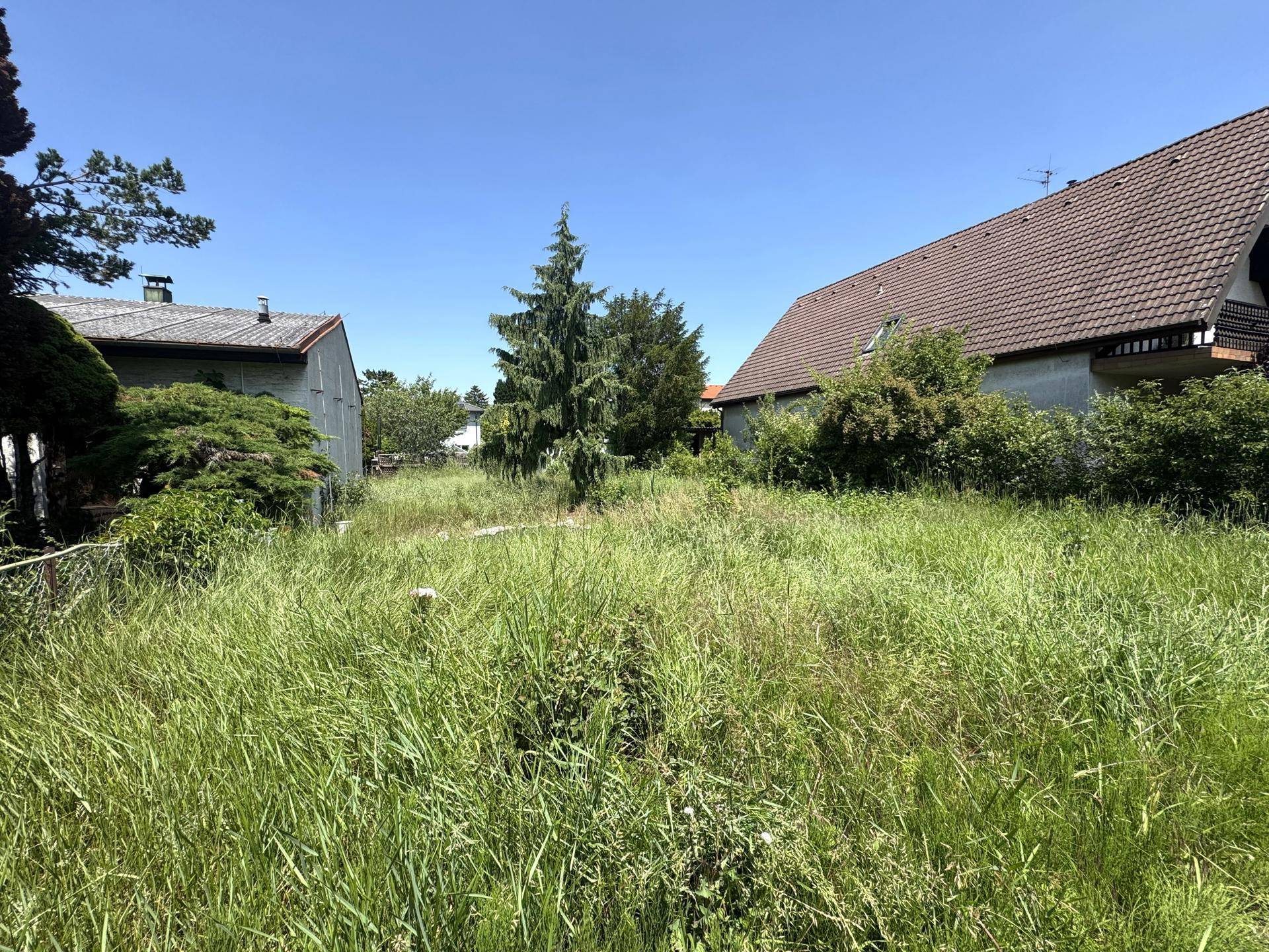 Baugrundstück mit Projekt im boomenden 22. Bezirk! - Ansicht 3