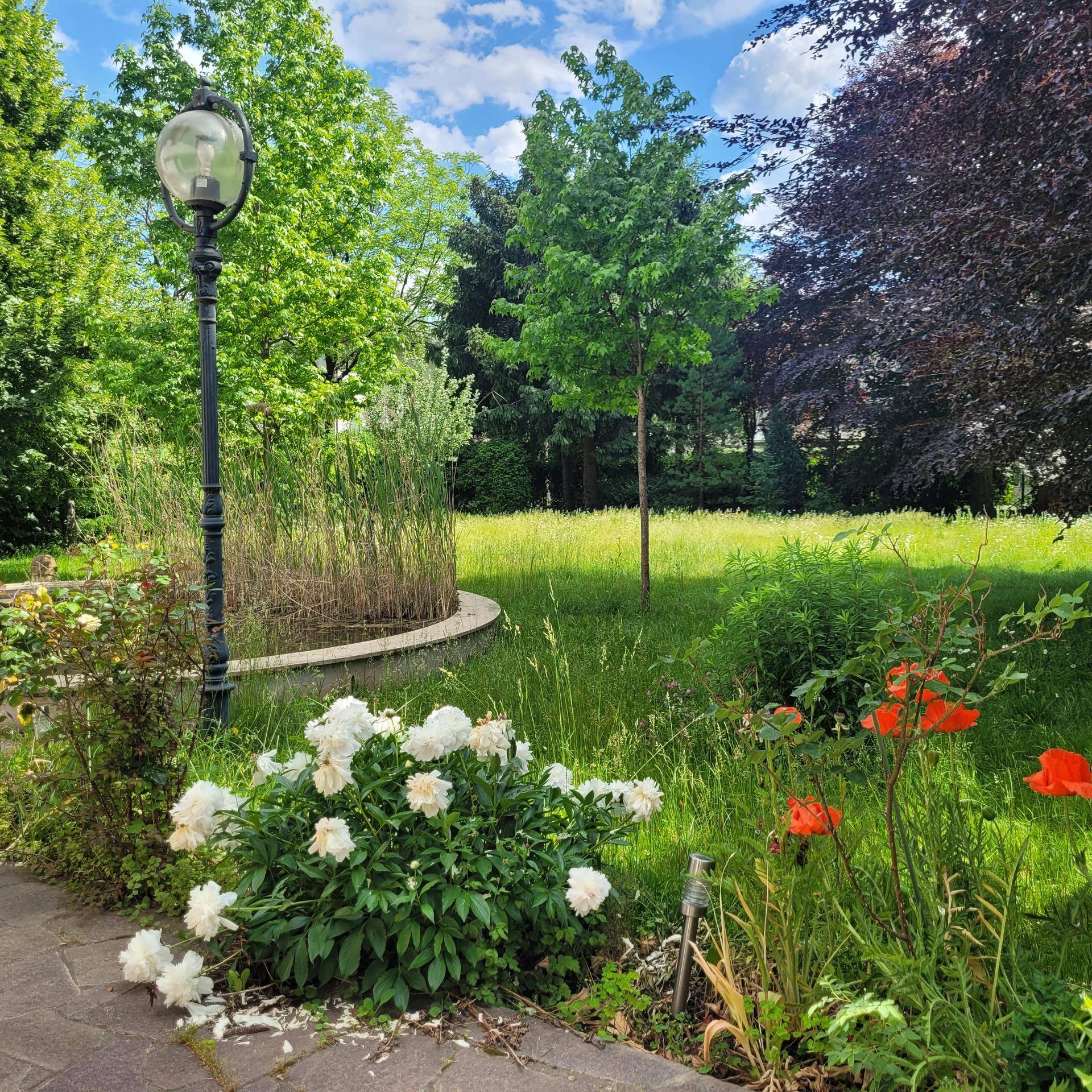 Ihr Zuhause. Ihr Büro. Ihr Paradies. - Ansicht 2
