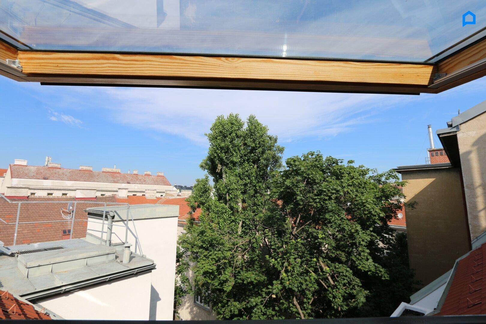 Blick aus einem Dachfenster auf grüne Bäume und die Dächer der umliegenden Gebäude.