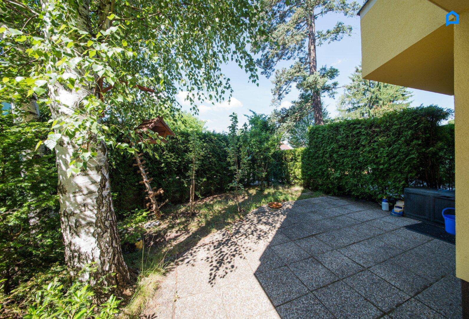 Sonniger Gartenbereich mit gepflasterter Terrasse und hohen Hecken.