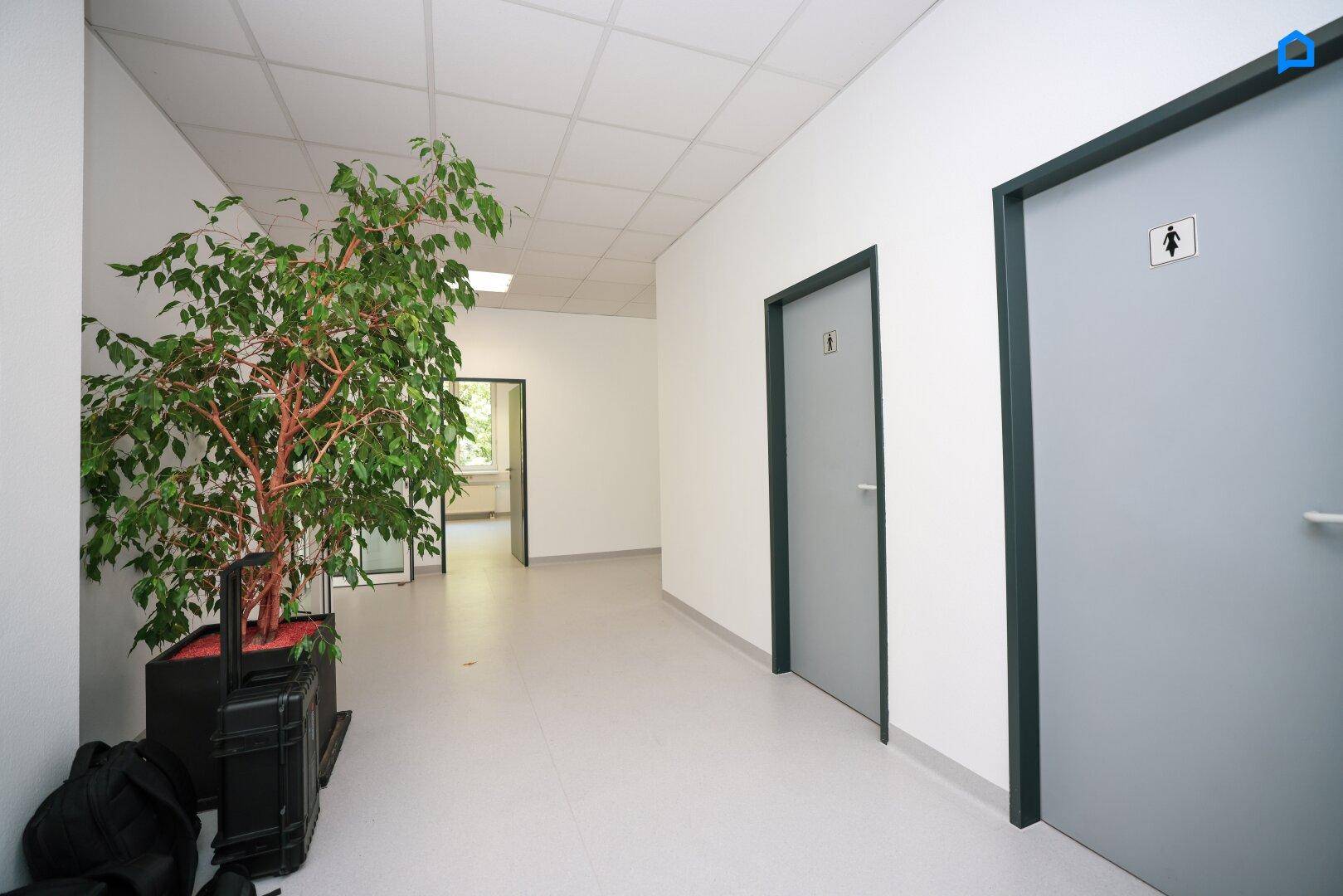 Flur mit großer Pflanze und Türen zu den getrennten Toilettenbereichen.