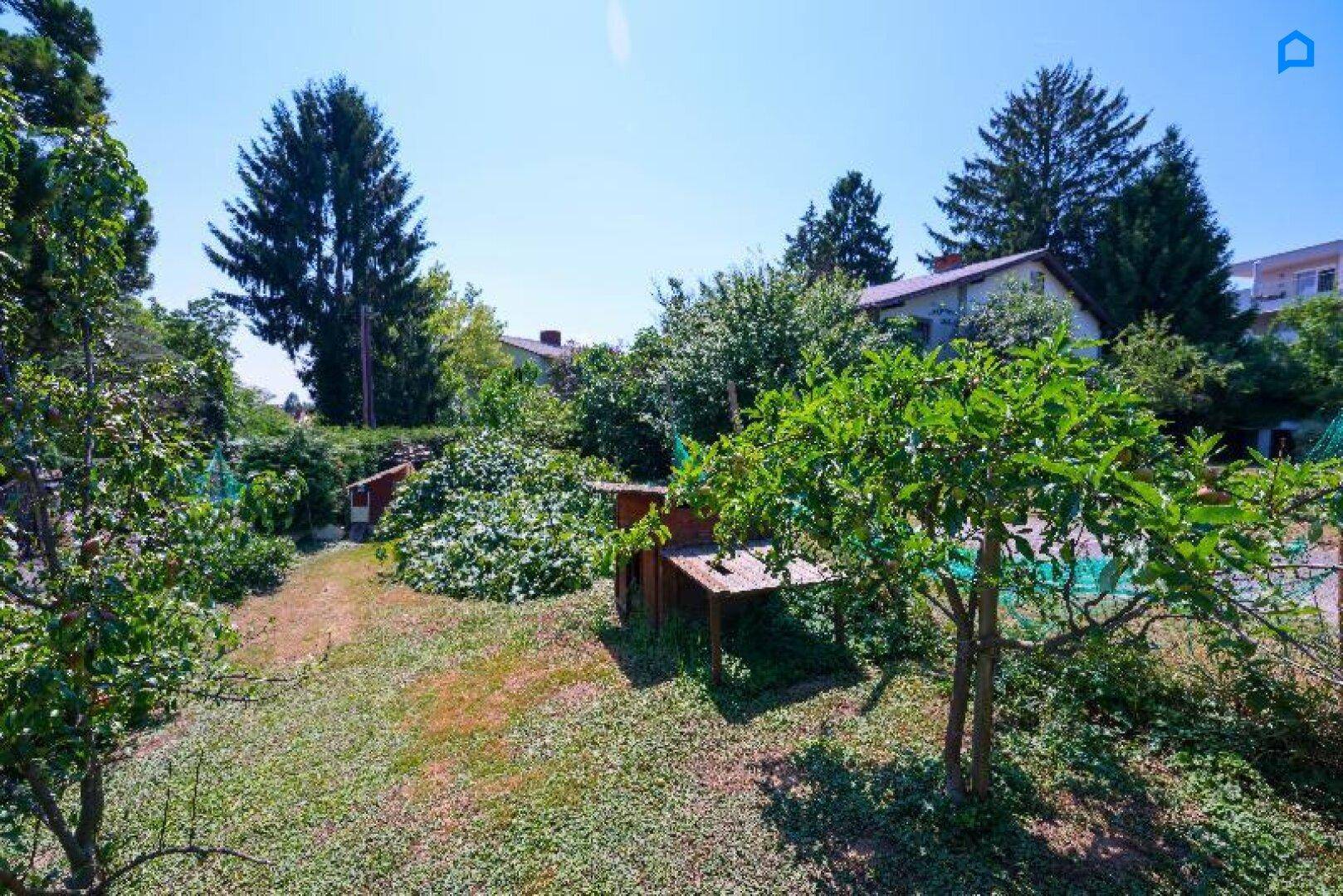 Sonniger Garten mit Obstbäumen, Rasenfläche und einem kleinen Unterstand im Grünen.