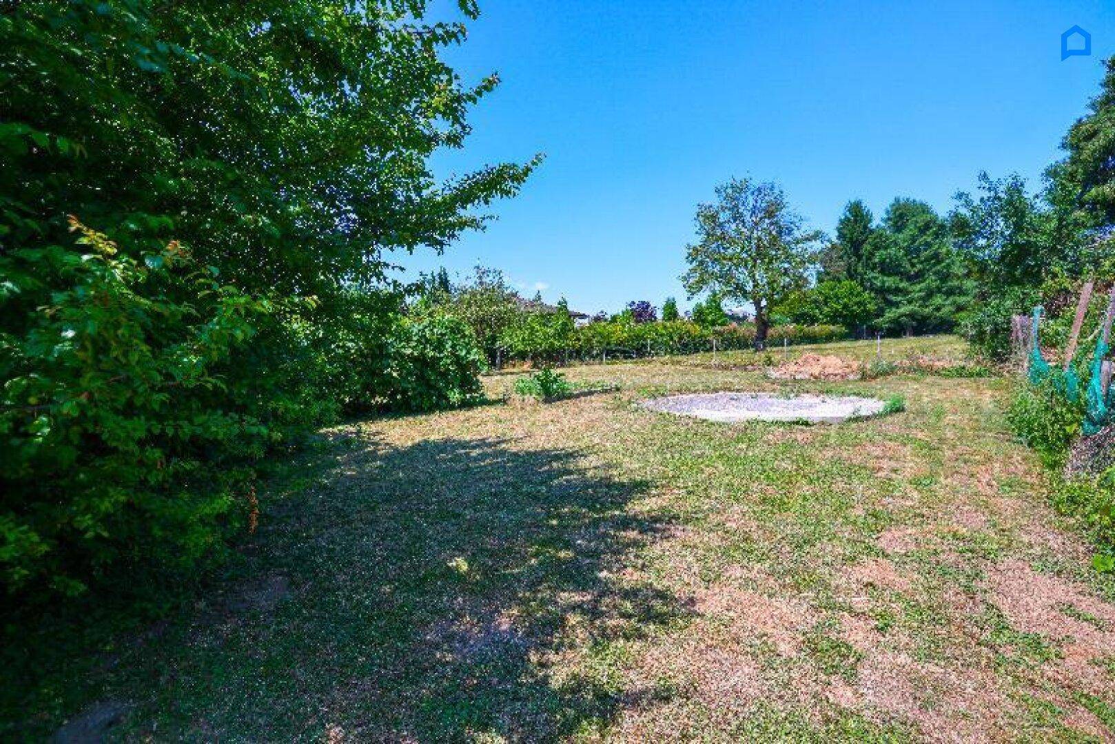 Großer, offener Gartenbereich mit Rasen, Bäumen und einer runden Kiesfläche.