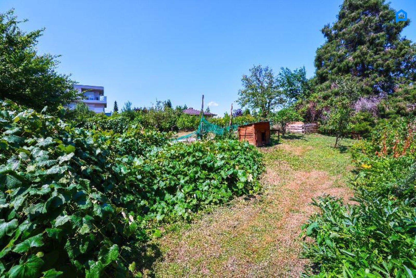 Weitläufiger Garten mit üppigem Grün, Rasen und einem kleinen Gartenhaus unter blauem Himmel.