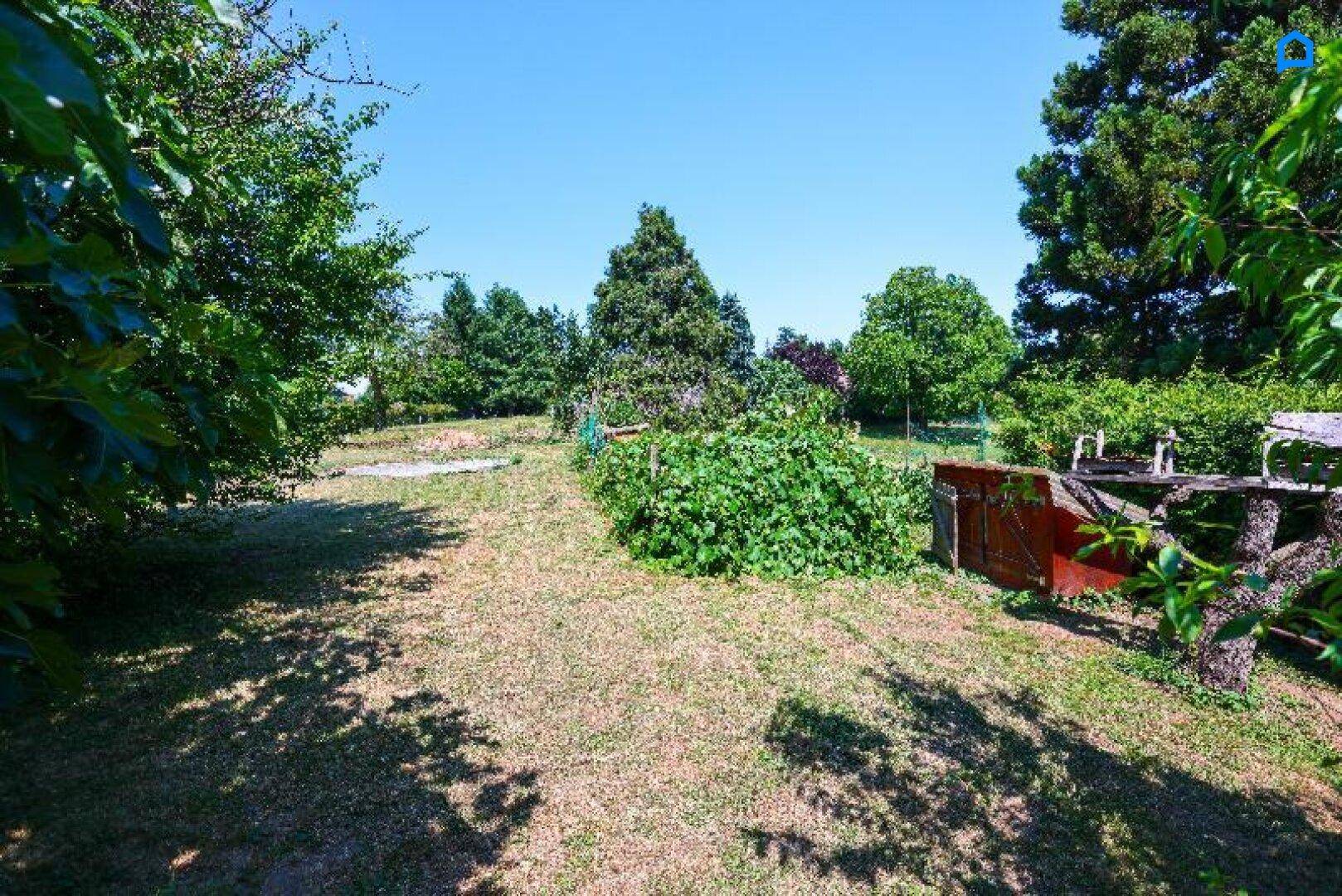 Großer, sonniger Garten mit Rasenfläche, Sträuchern und einem kleinen Gemüsebeet.