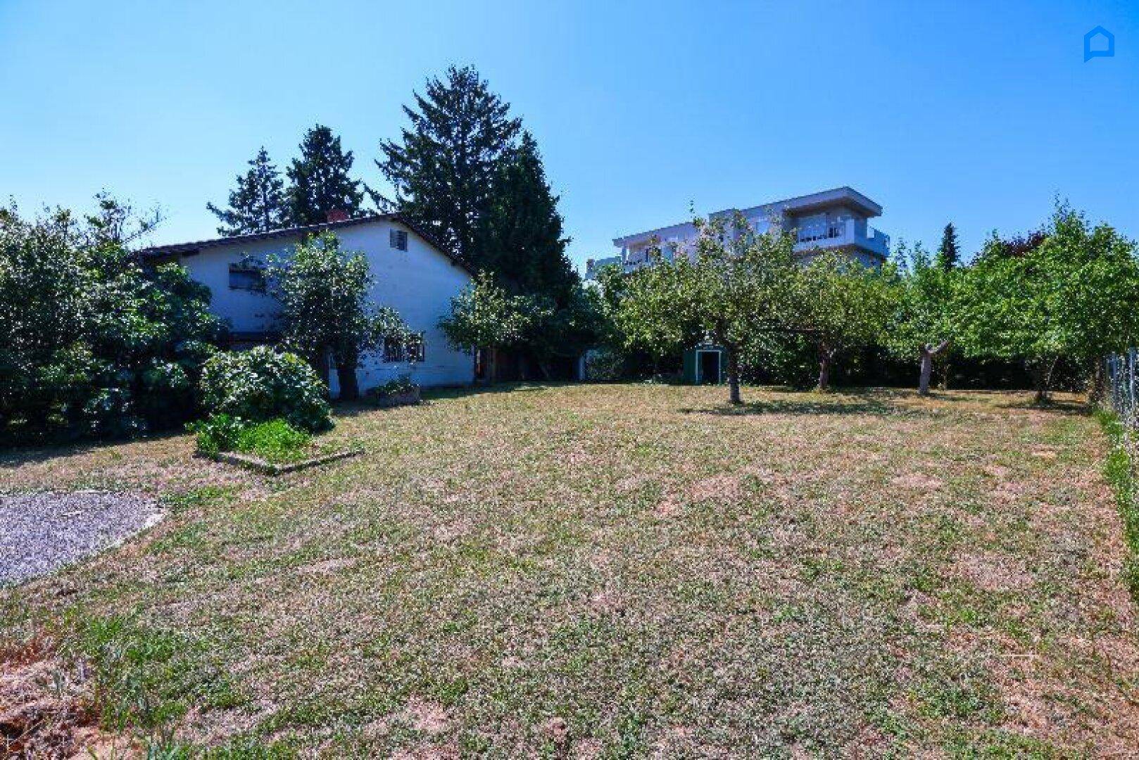 Geräumiger Garten mit Rasen und Obstbäumen, der zum Haus führt, unter blauem Himmel.