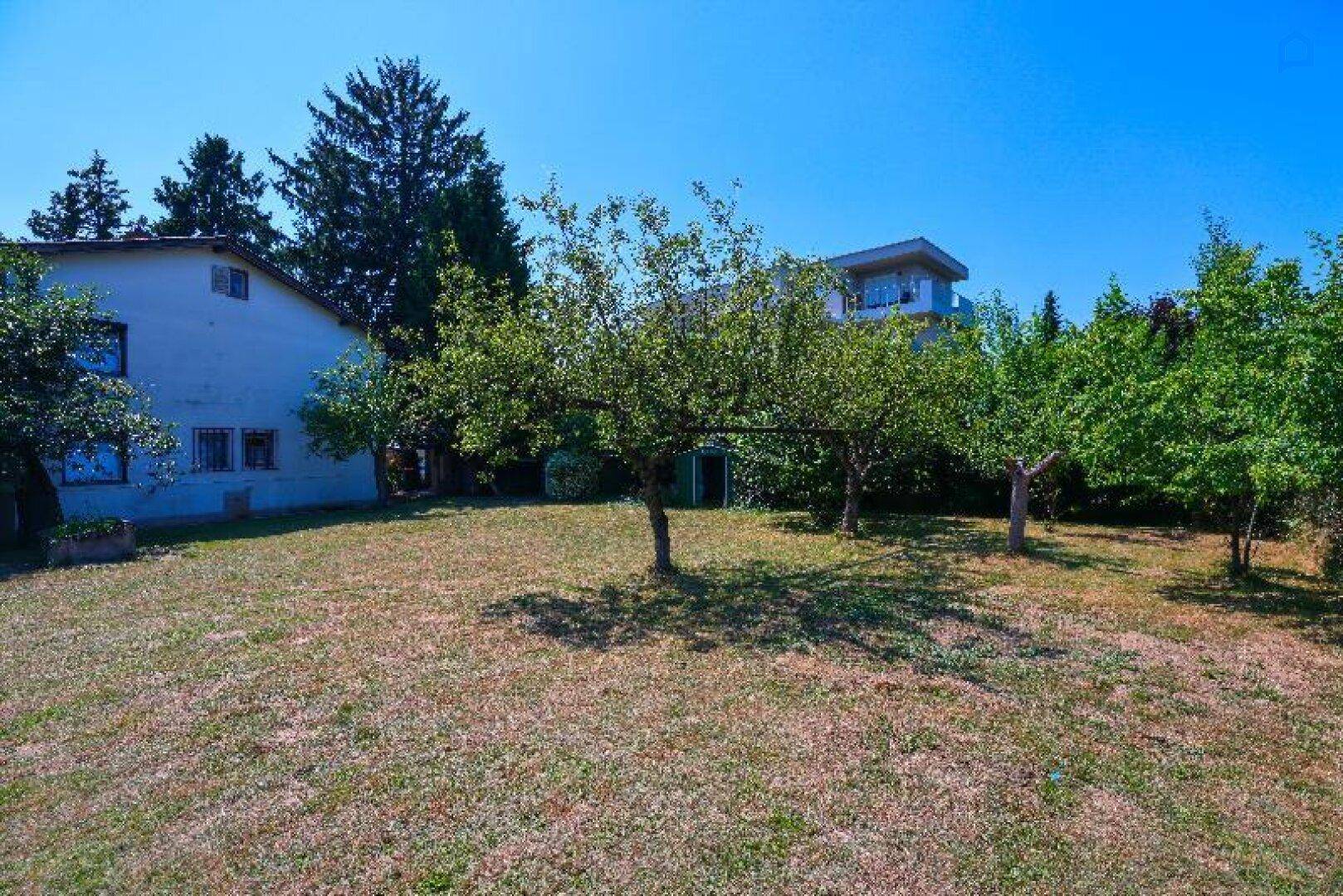 Weitläufiger Garten mit gepflegtem Rasen und mehreren Obstbäumen vor dem Haus.