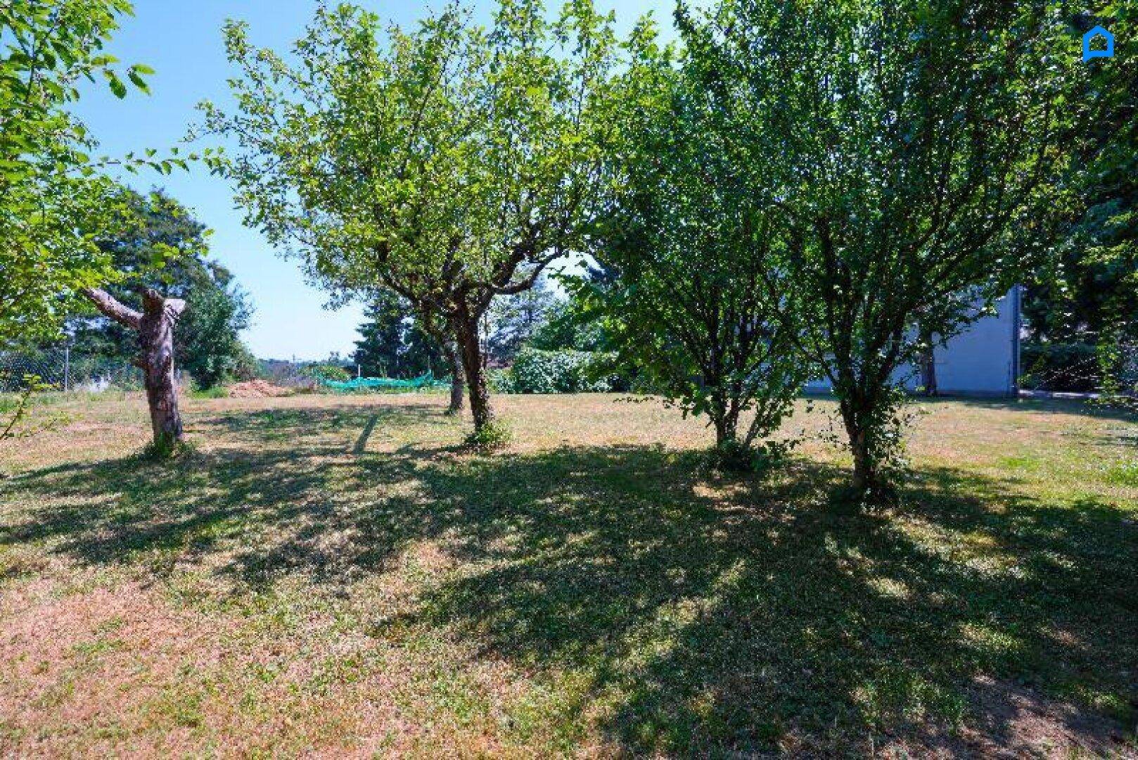 Sonniger Garten mit schattenspendenden Bäumen und weitem Blick in die Natur.
