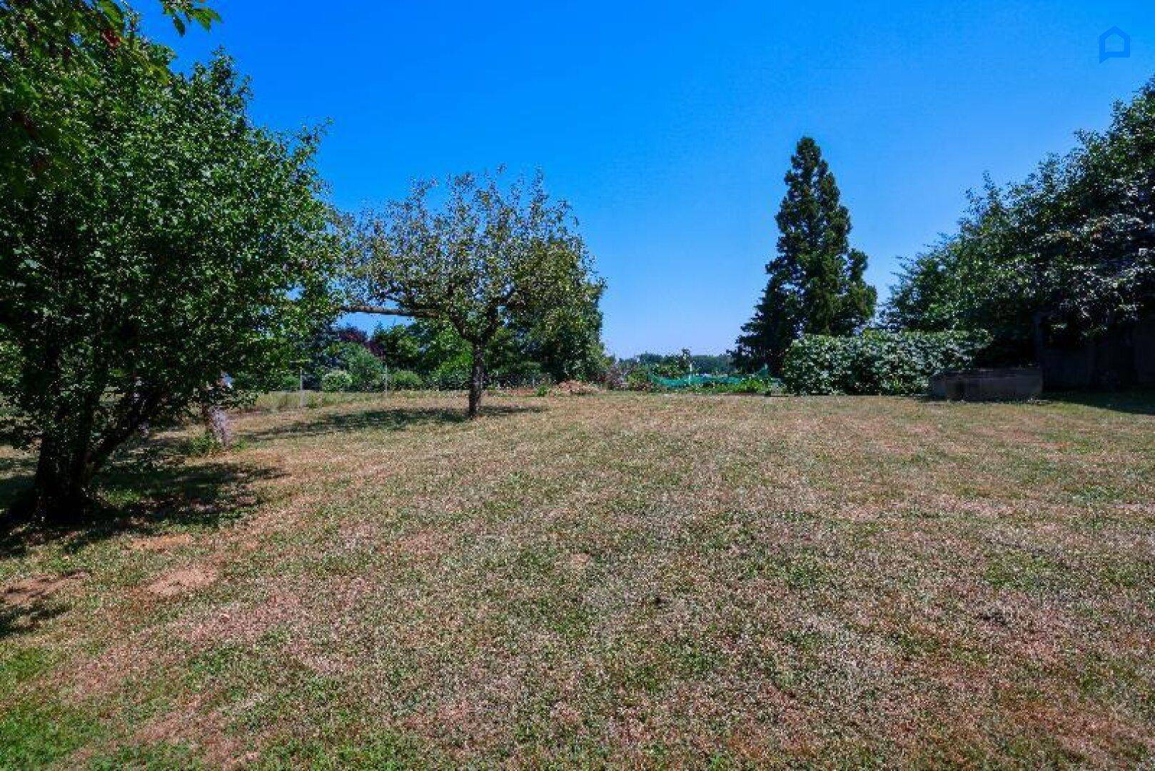 Offener Gartenbereich mit Rasen und vereinzelten Bäumen, der viel Platz bietet.