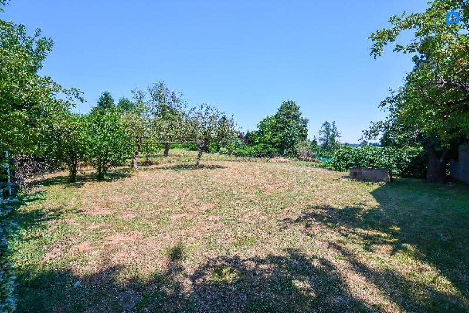 Sonniger Garten mit Obstbäumen und schattigen Bereichen, ideal zum Entspannen.