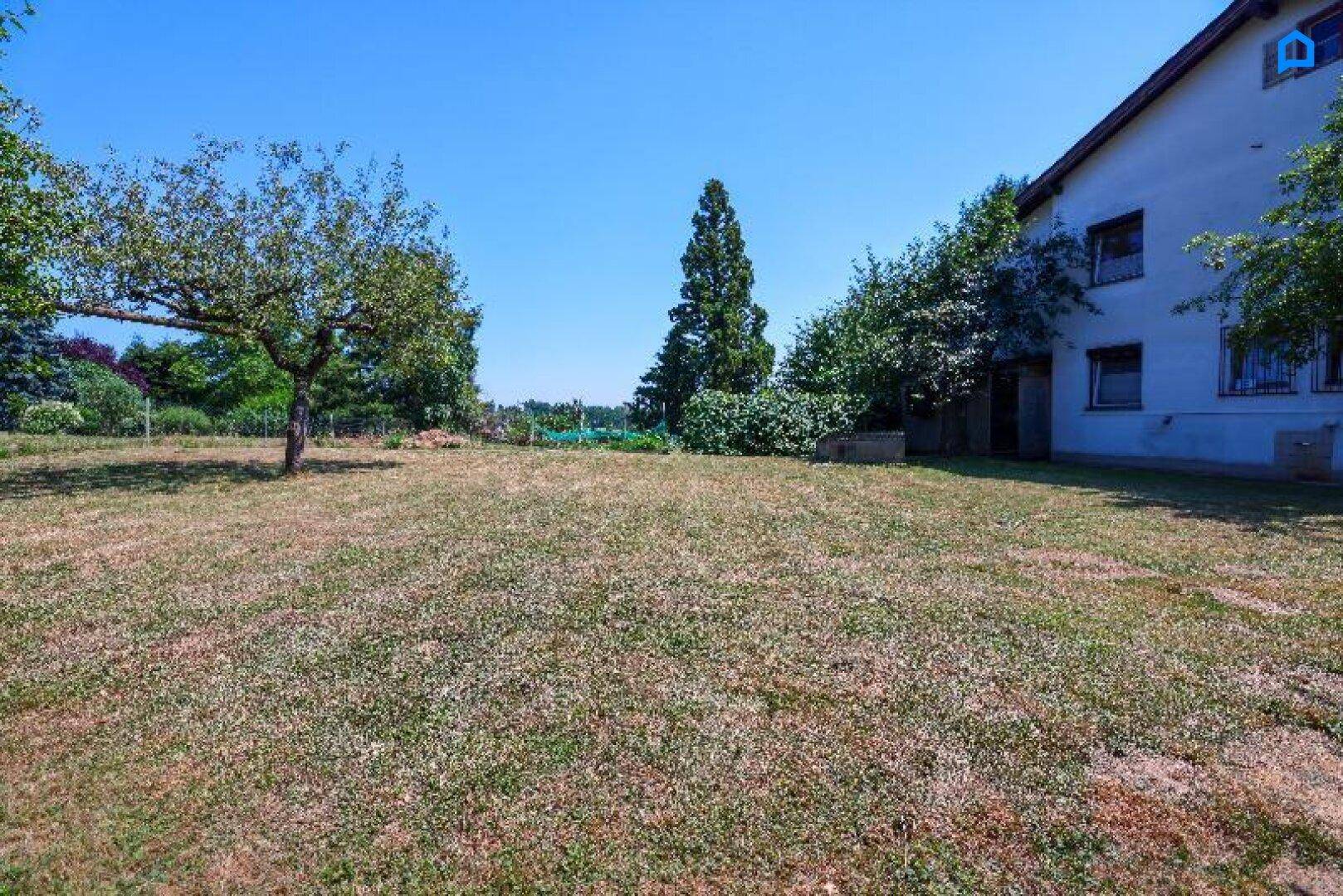 Weitläufiger Garten mit Rasen und Bäumen, der das Haus umgibt, an einem sonnigen Tag.