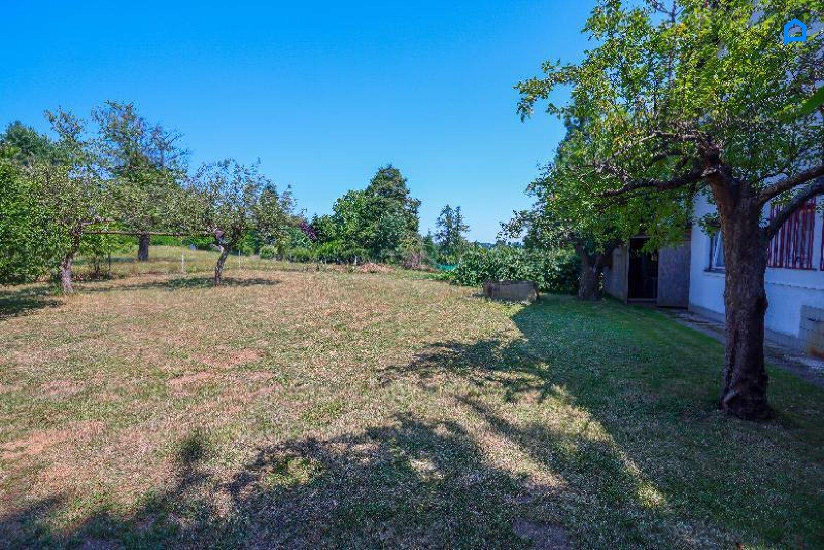 Gepflegter Garten mit Rasen, Obstbäumen und dem Seitenbereich des Hauses.