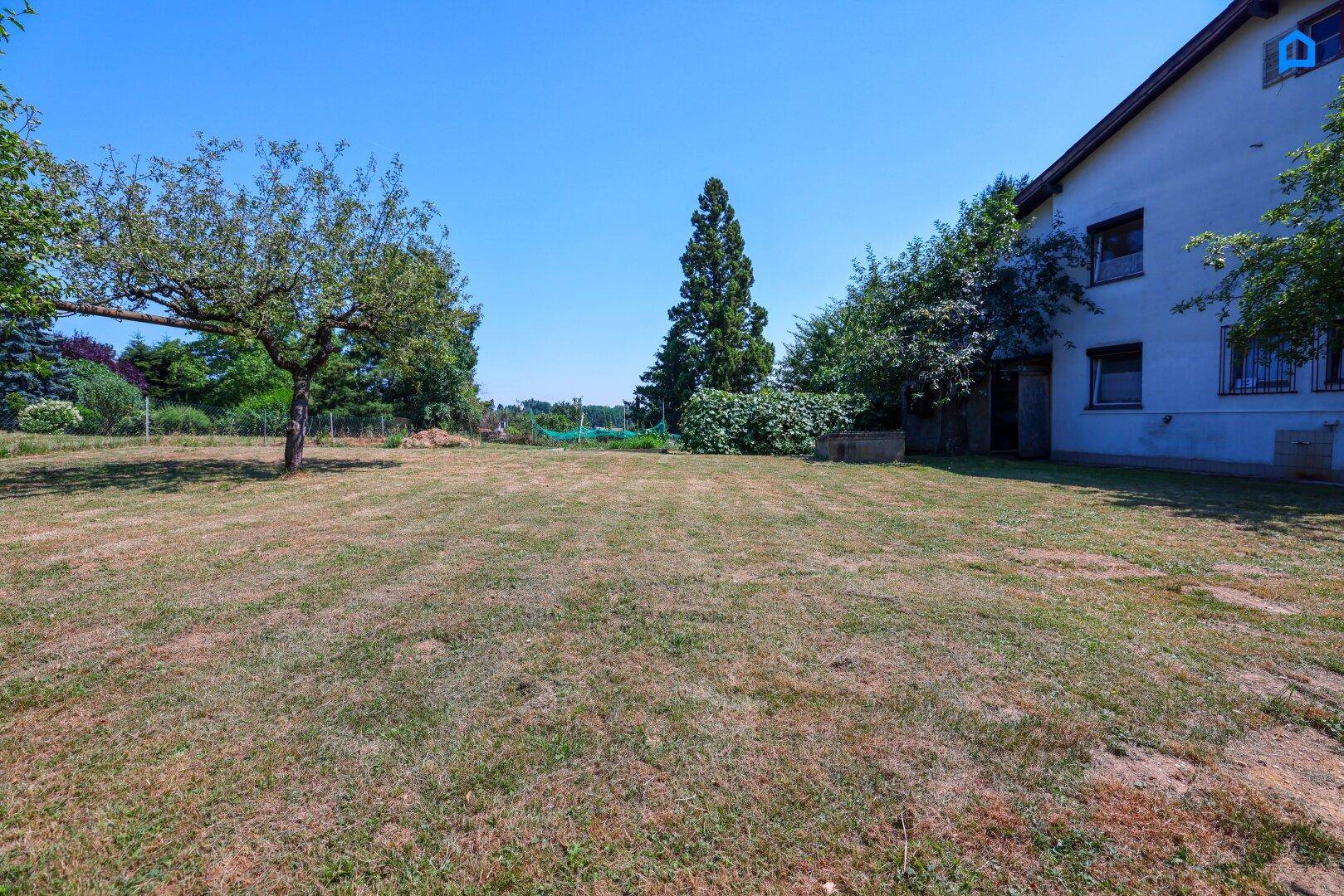 Geräumiger Garten mit Rasenfläche neben dem Haus, umgeben von Bäumen und Sträuchern.