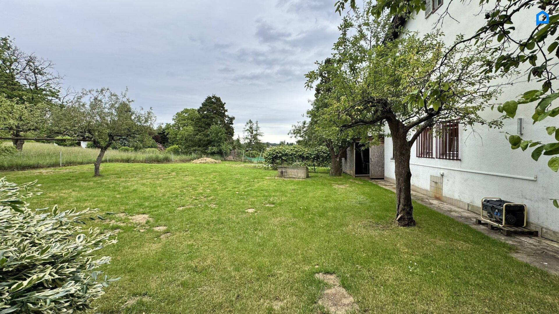 Grüner Gartenbereich neben dem Haus mit Rasenfläche und Bäumen unter bewölktem Himmel.