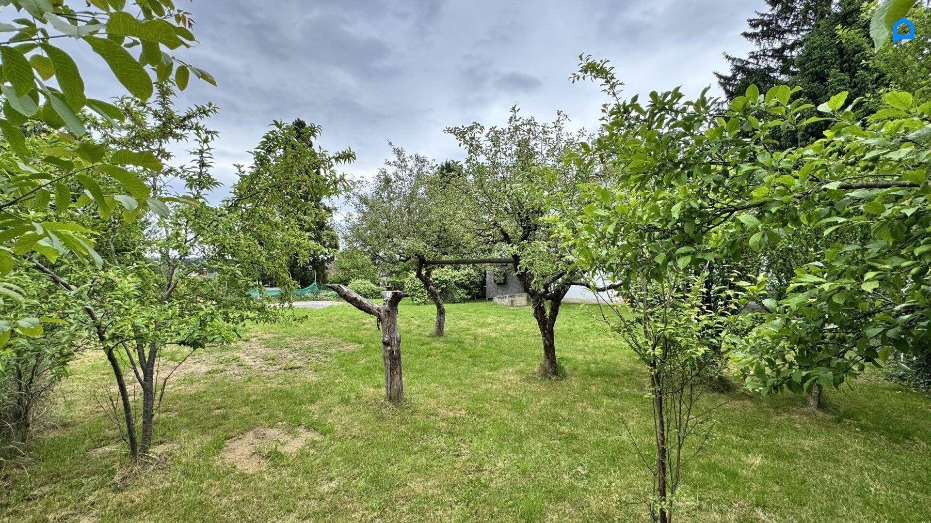 Garten mit mehreren jungen Obstbäumen und einer gepflegten Rasenfläche unter bewölktem Himmel.