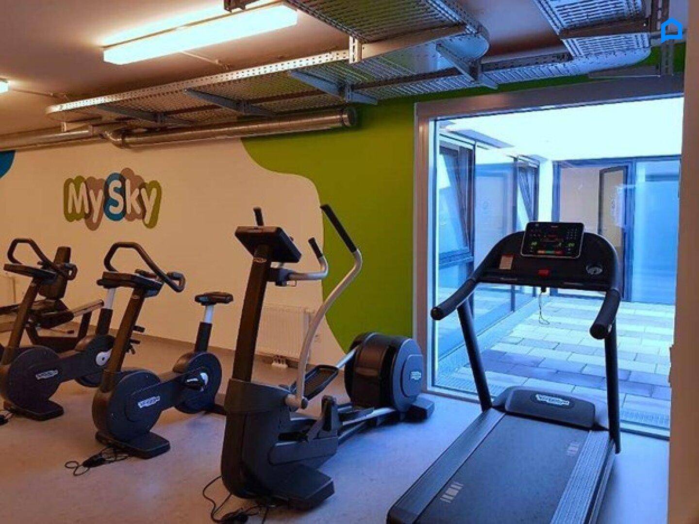 Moderner Fitnessraum mit Laufband und Crosstrainer, bietet Blick nach draußen.