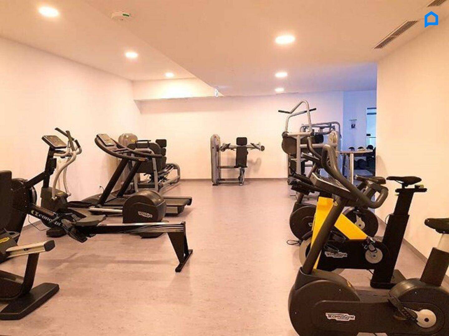 Gut ausgestatteter Fitnessraum mit verschiedenen Trainingsgeräten für ein umfassendes Workout.