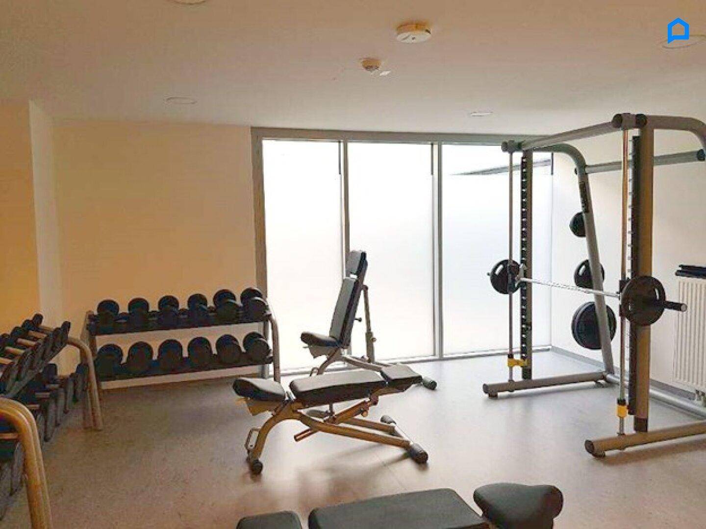 Fitnessraum mit Hanteln, Hantelbank und Kraftgeräten für Krafttraining.