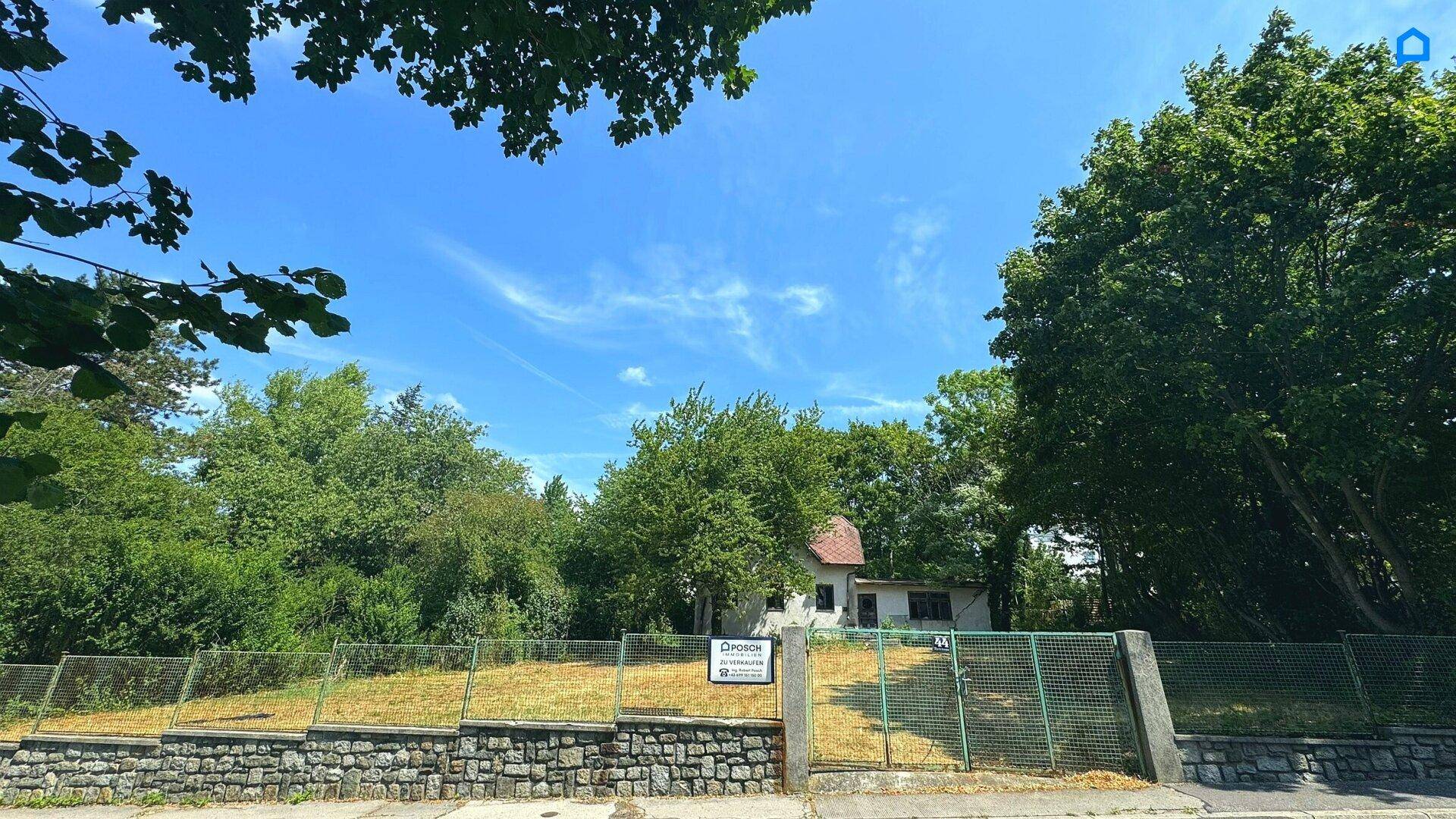 Grundstück mit altem Haus im Hintergrund, umgeben von Bäumen und einem Zaun.