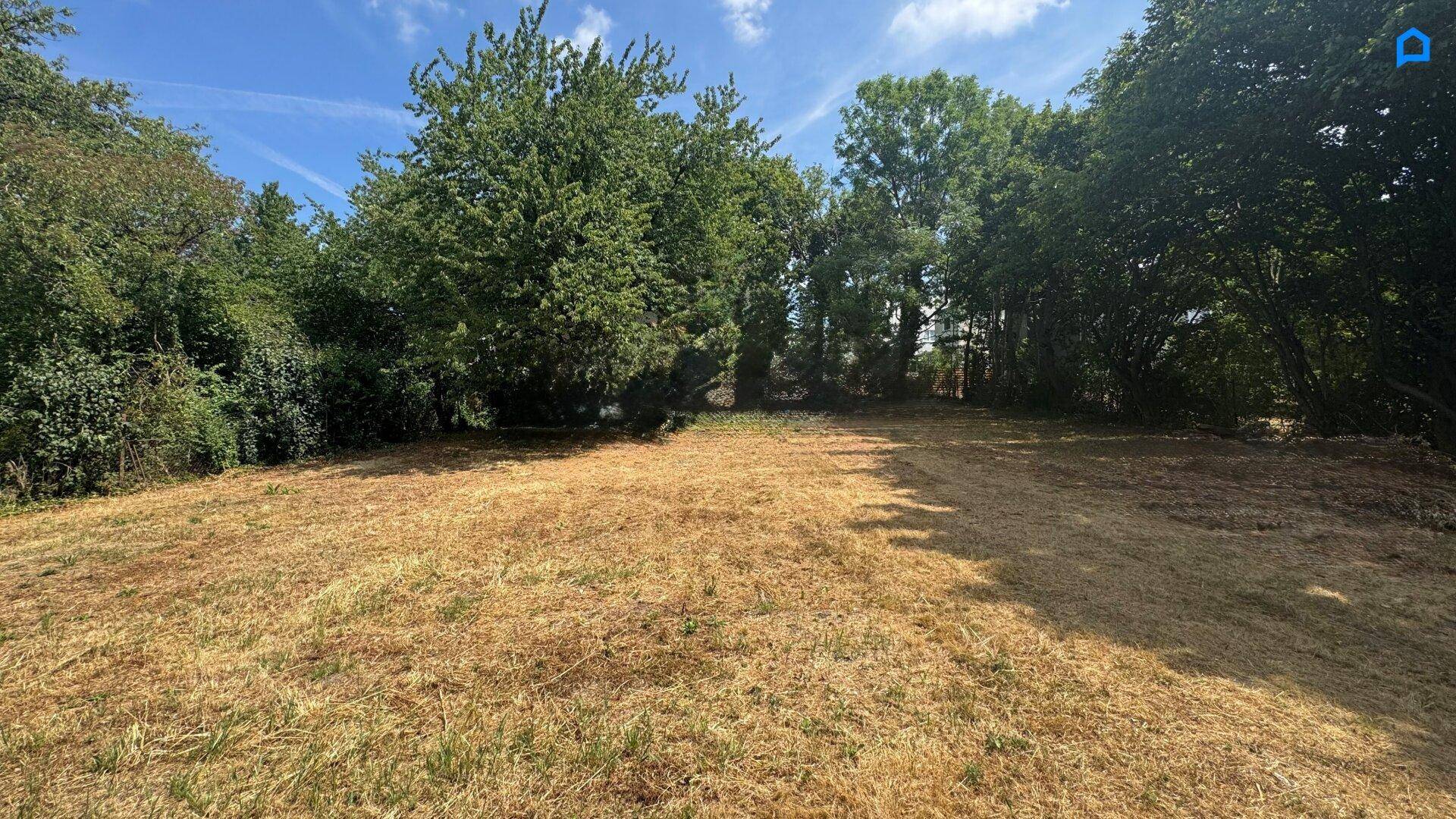 Weitläufiges, sonniges Grundstück mit trockenem Gras und dichtem Baumbestand im Hintergrund.