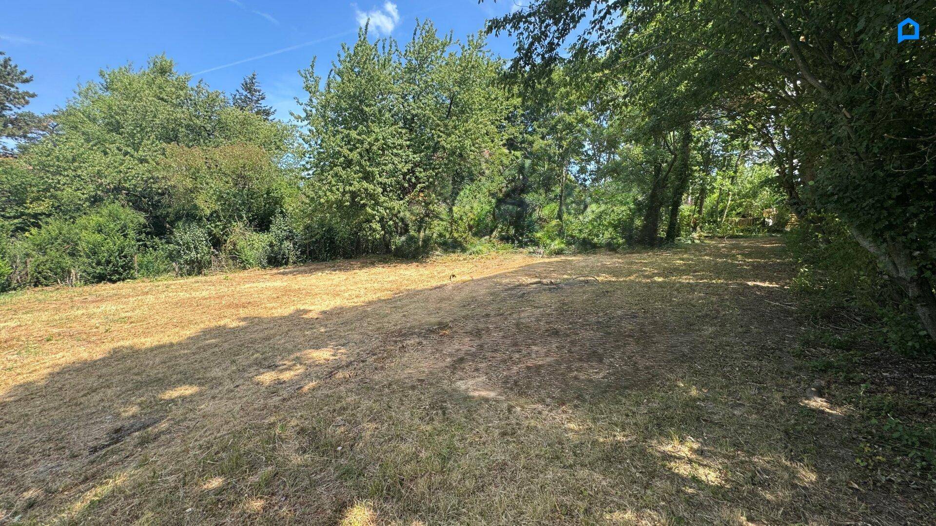 Großes Gartengrundstück mit teilweise trockenem Gras und üppiger Vegetation am Rand.