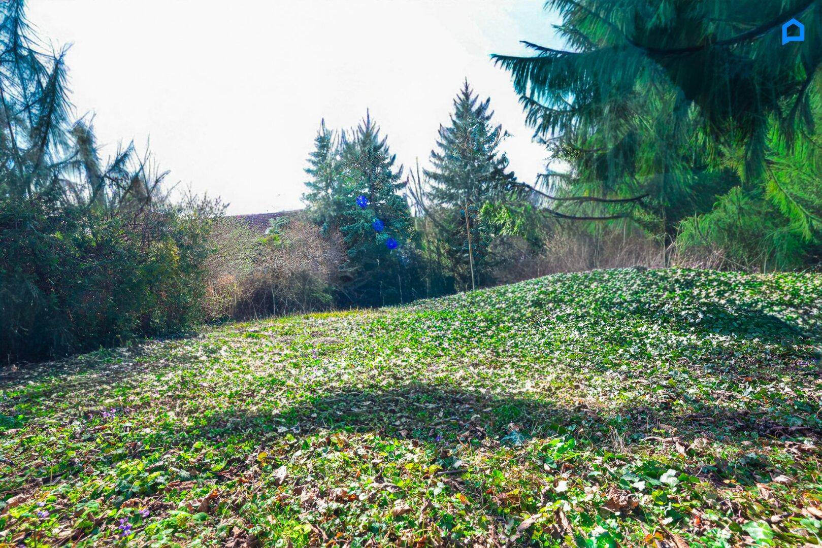 Stammersdorf, BH=7,5m, geschlossene BW, Großes bauklares Baugrundstück 619m² - Perfekte Lage für Ihr Eigenheim! Wohnprojekt, Abbruch inklusive - Ansicht 4
