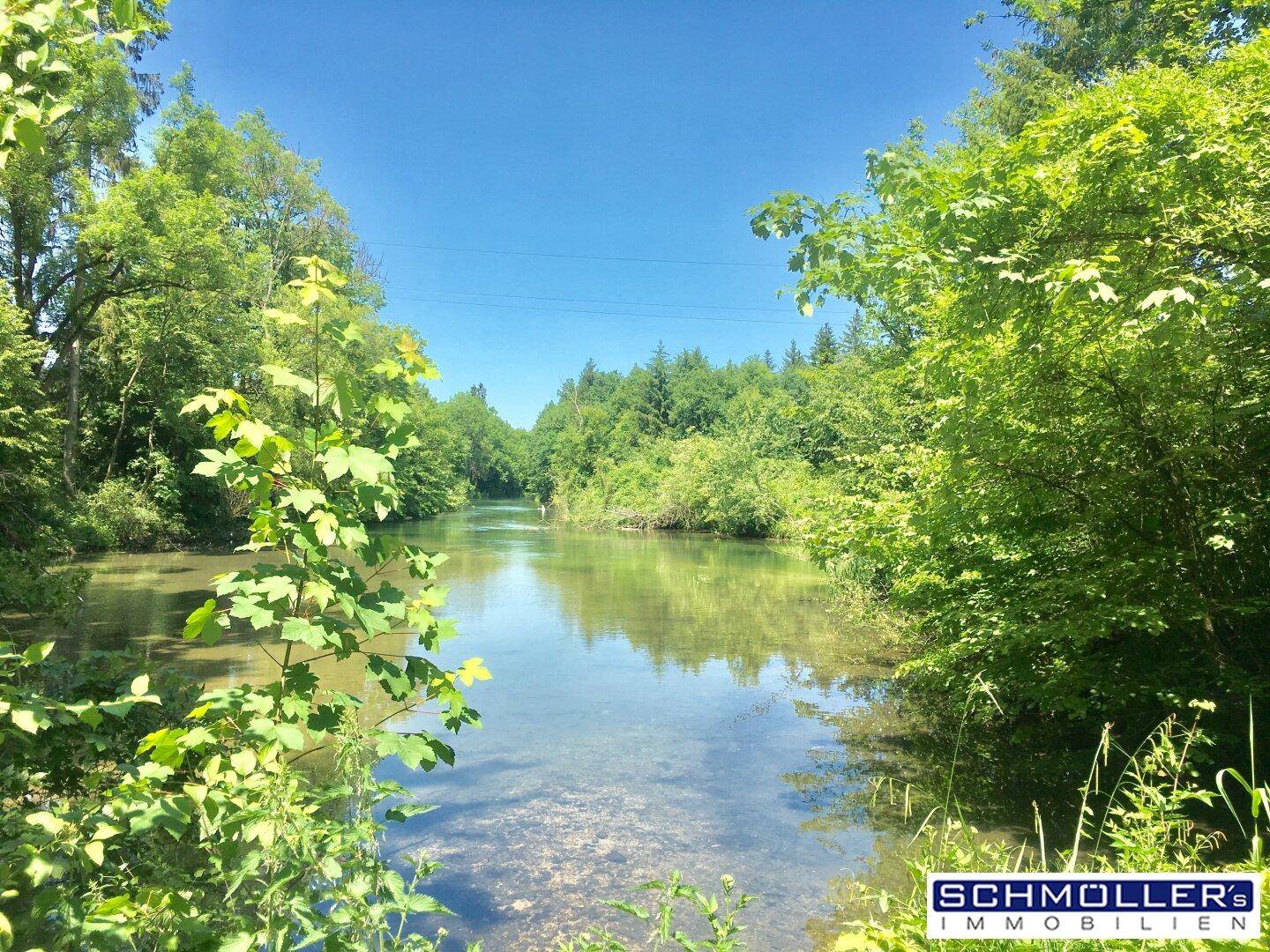 Ruhiger Fluss umgeben von üppigem Grün und Bäumen unter blauem Himmel.