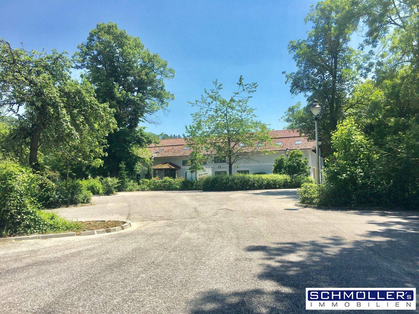Zufahrt zum Landhaus, umgeben von Bäumen und Sträuchern an einem hellen Sommertag.