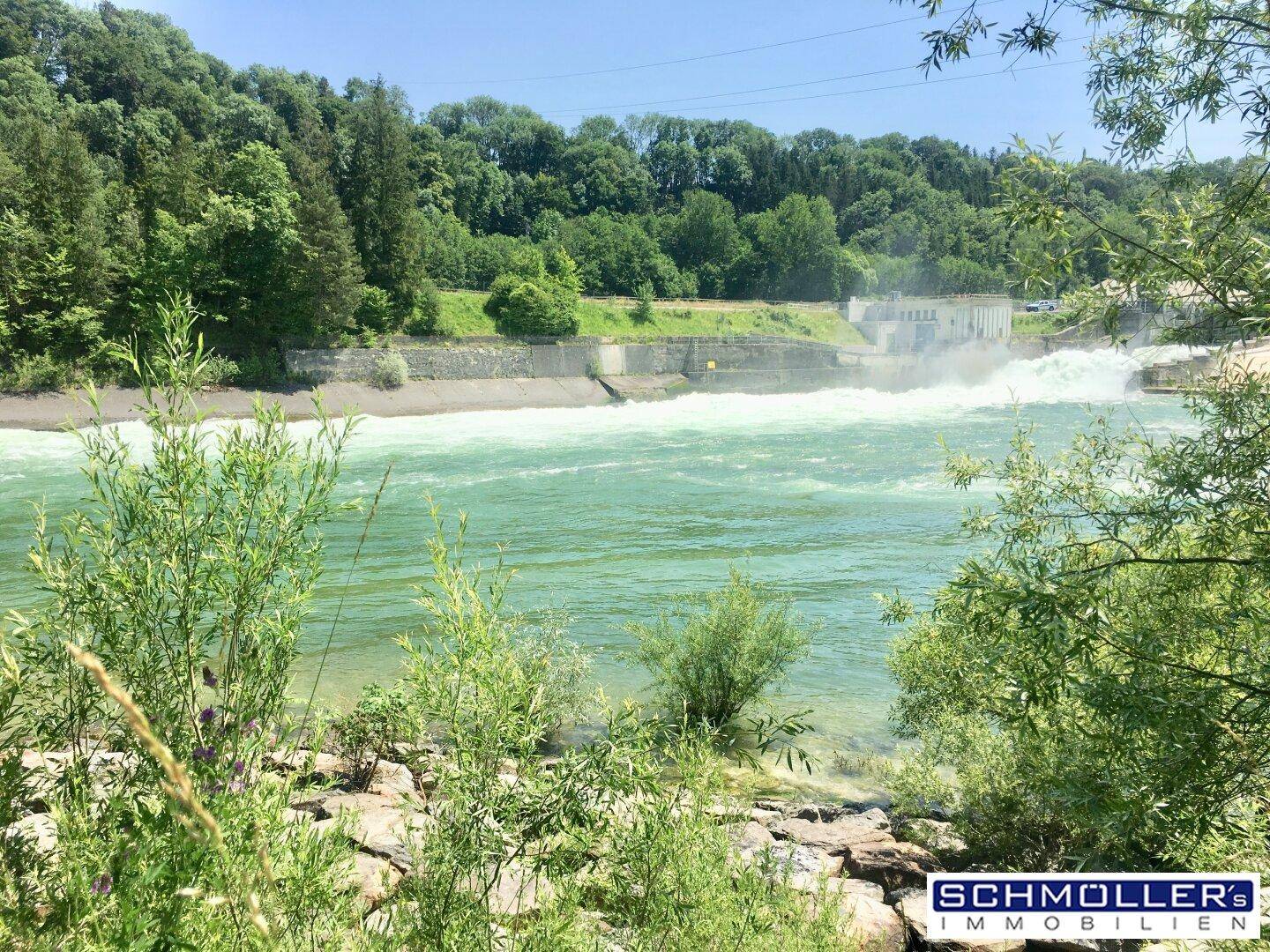 Reißender Fluss mit einem Wehr oder Damm, umgeben von grünen Bäumen.