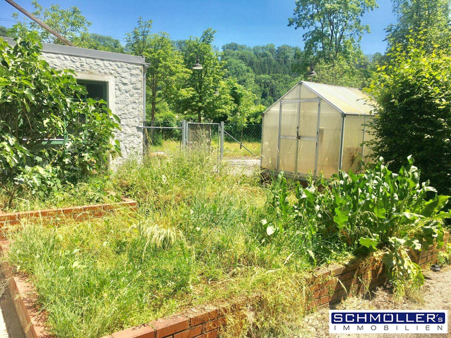 Verwilderter Gartenbereich mit einem Gewächshaus und einem kleinen Nebengebäude.