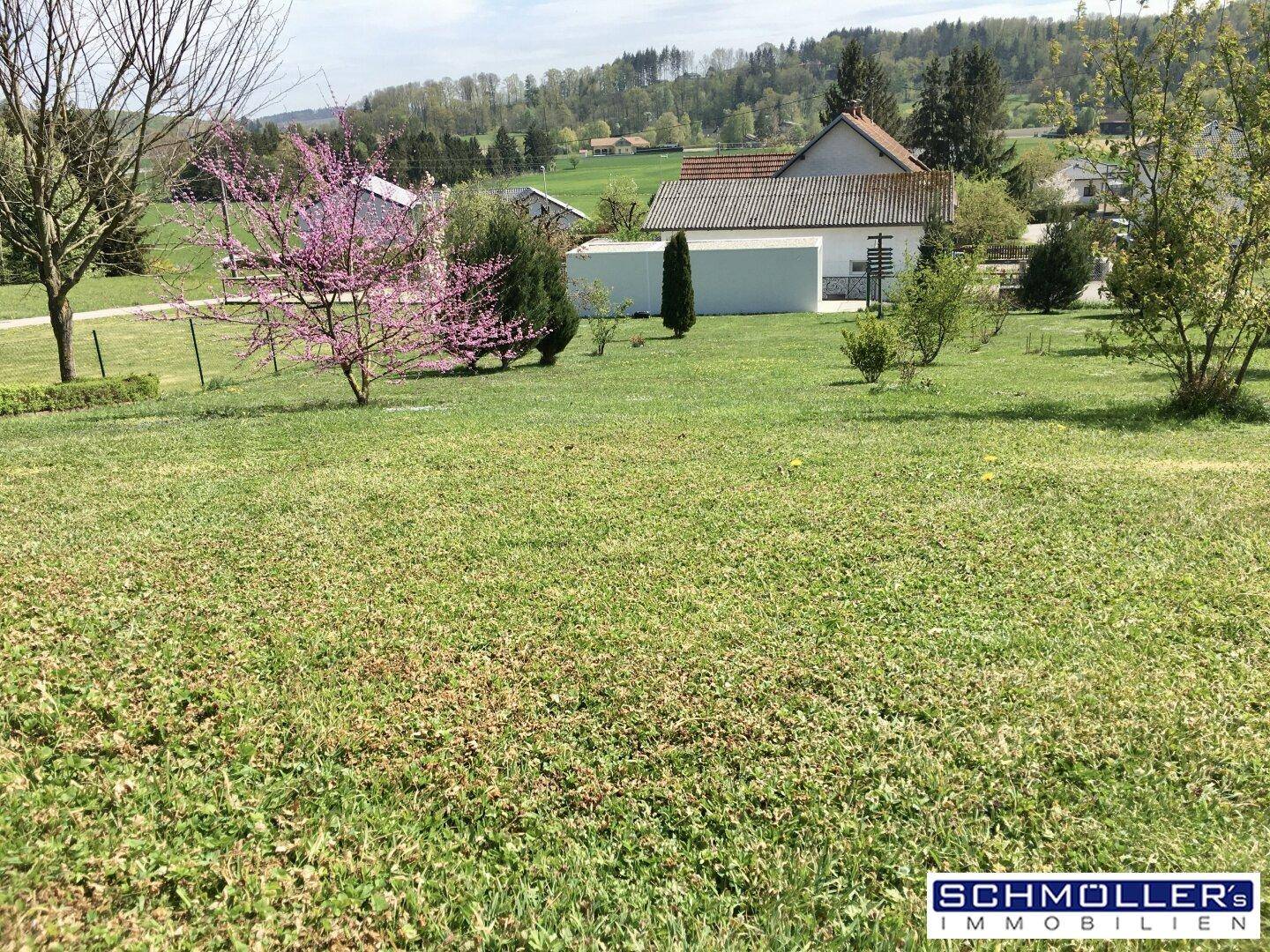 Grüne Gartenfläche mit blühendem Baum und ländlichem Ausblick auf die Umgebung.