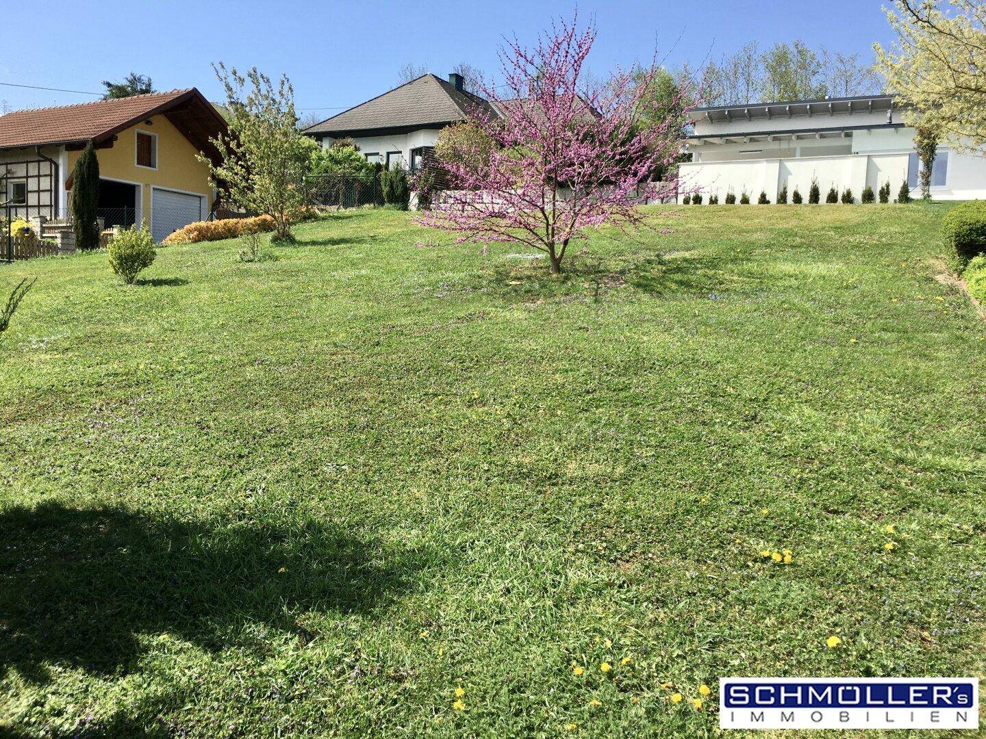 Hanglage mit Rasenfläche und blühendem Baum, umgeben von Wohnhäusern.