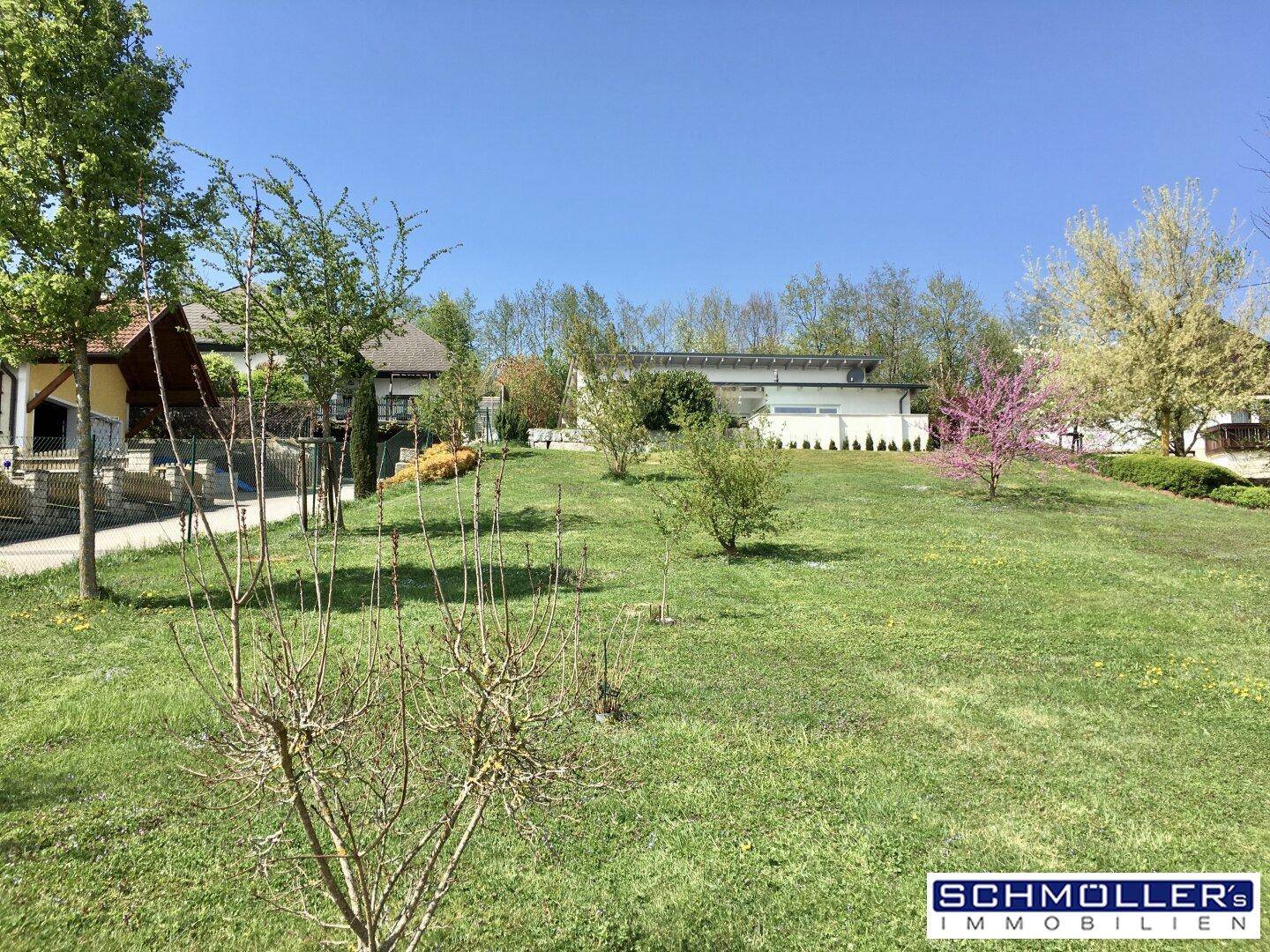 Offene Gartenfläche mit verschiedenen Bäumen und Blick auf die umliegenden Gebäude.