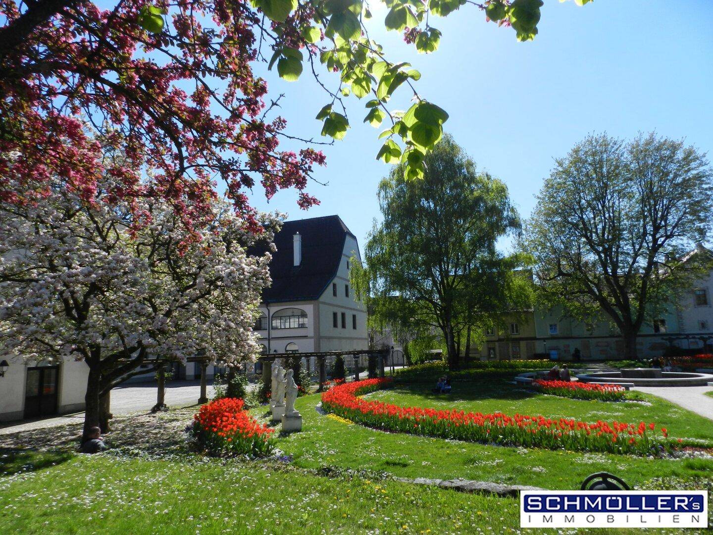 Die Burg Wels