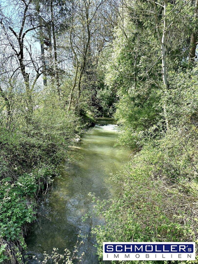 Idyllischer Bachlauf umgeben von üppigem Grün, nahe der Immobilie gelegen.