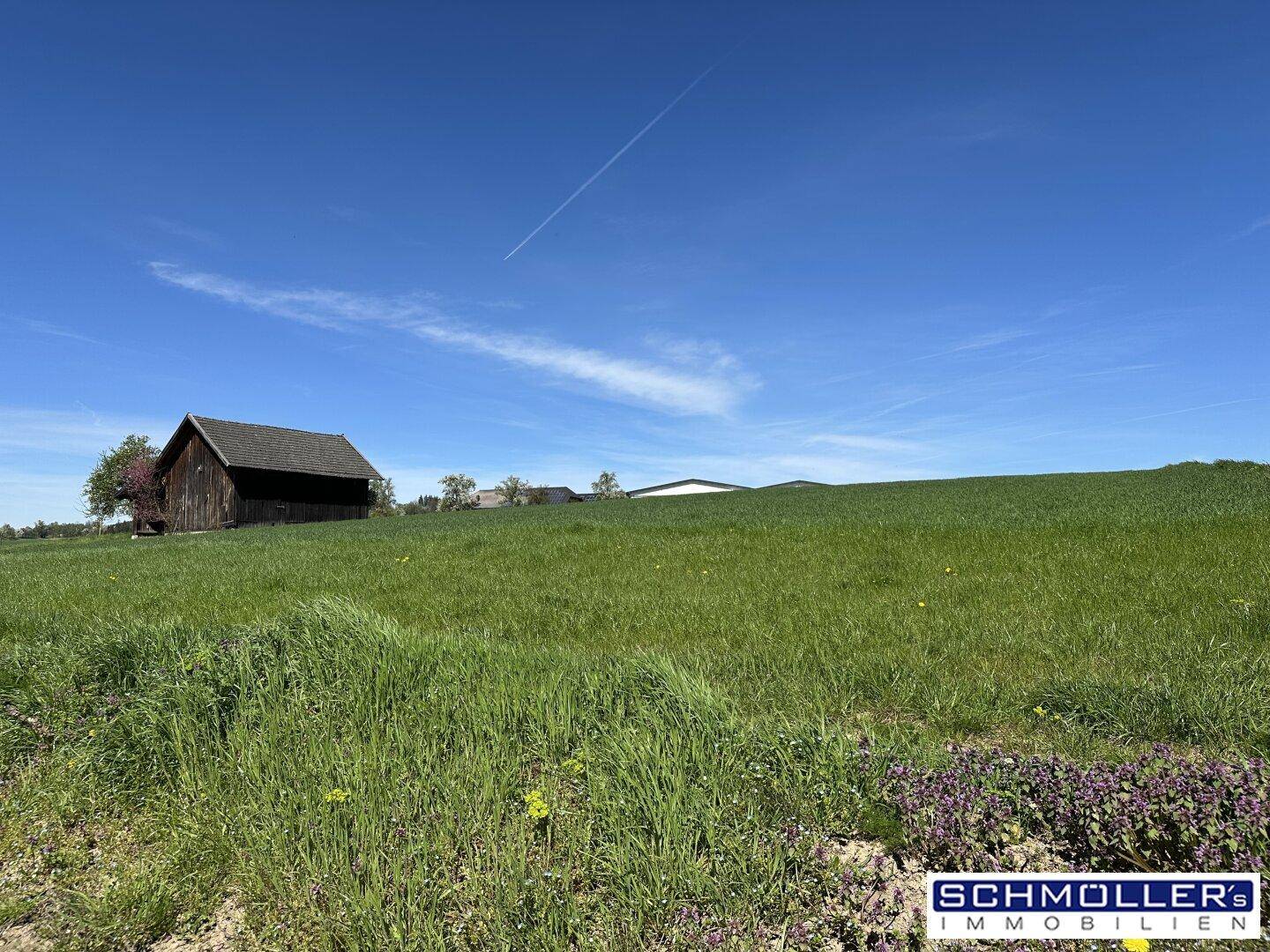 Weitläufige grüne Landschaft mit einem traditionellen Holzschuppen unter blauem Himmel.