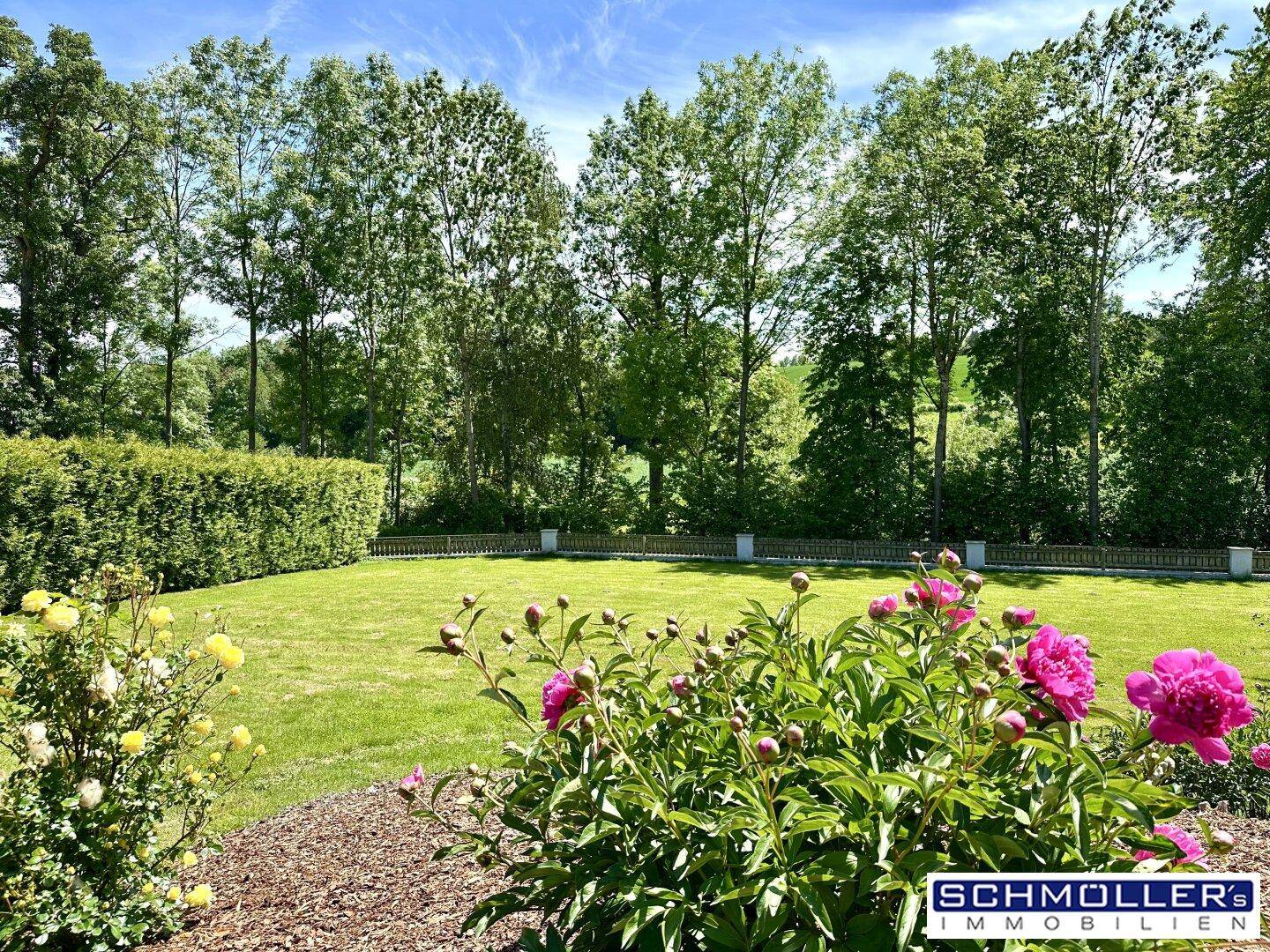 Idyllischer Gartenbereich mit großer Rasenfläche, umgeben von hohen Bäumen und einer dichten Hecke.
