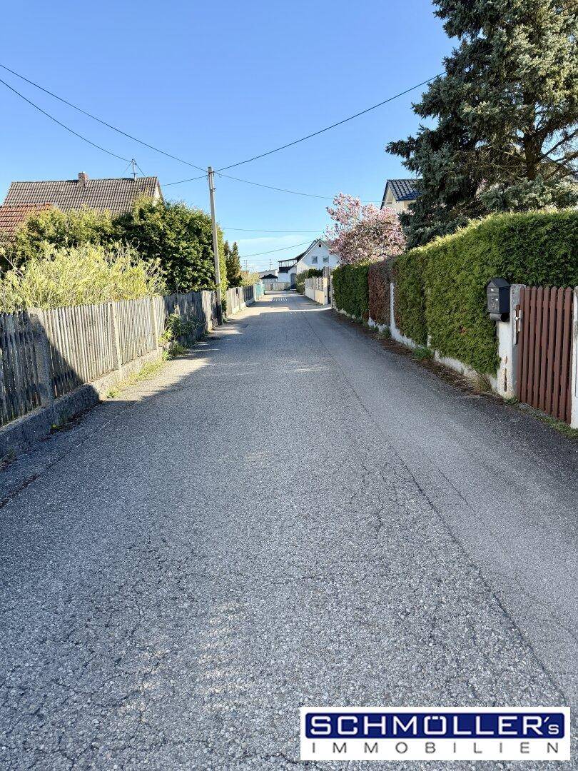 Ruhige Wohnstraße mit gepflegten Hecken und Bäumen in ländlicher Umgebung der Immobilie.