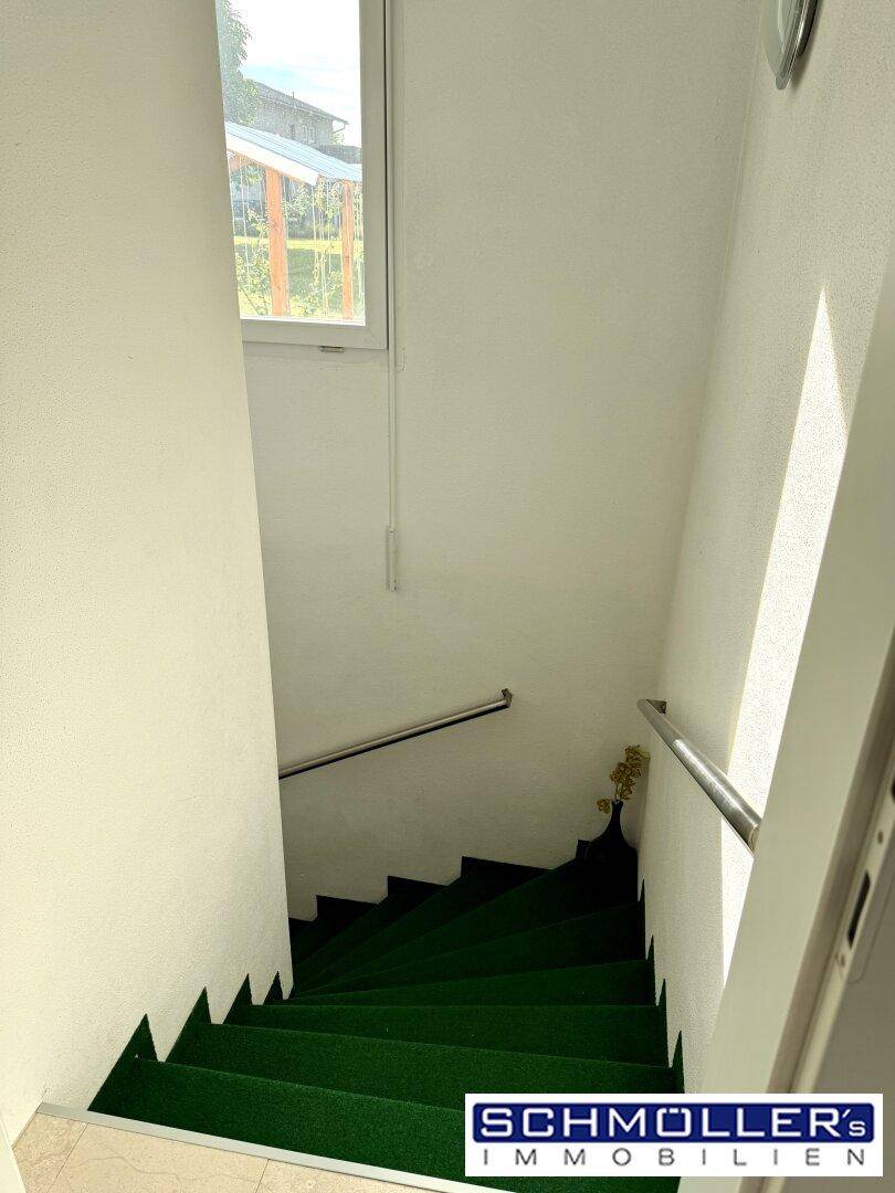 Helles Treppenhaus mit grünem Teppichboden und Fenster für natürliches Licht.