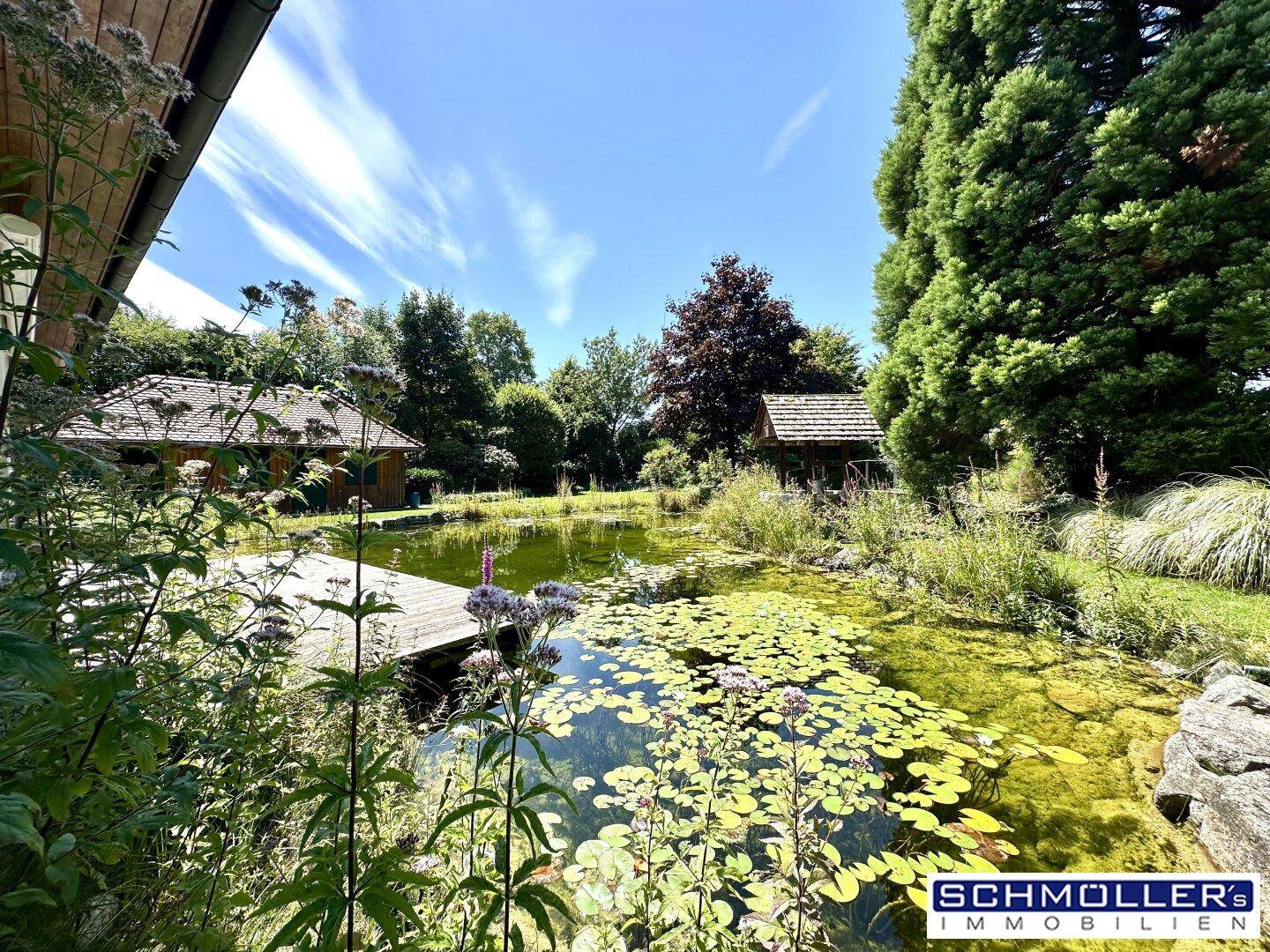 Sonniger Gartenbereich mit Teich, Seerosen und einem Holzsteg, umgeben von Natur.