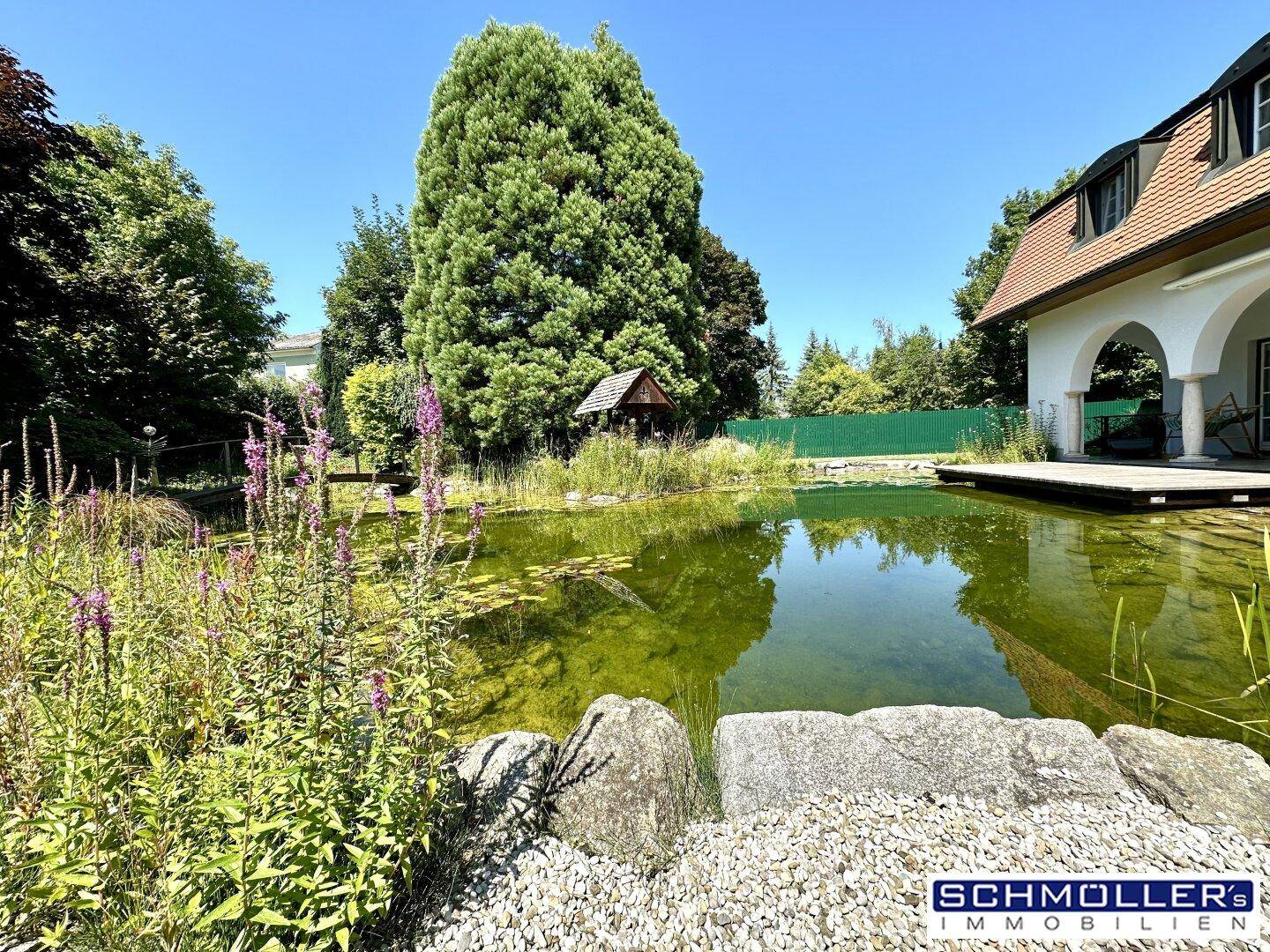 Malerischer Teich im Garten mit üppiger Vegetation und einem großen Baum im Hintergrund.