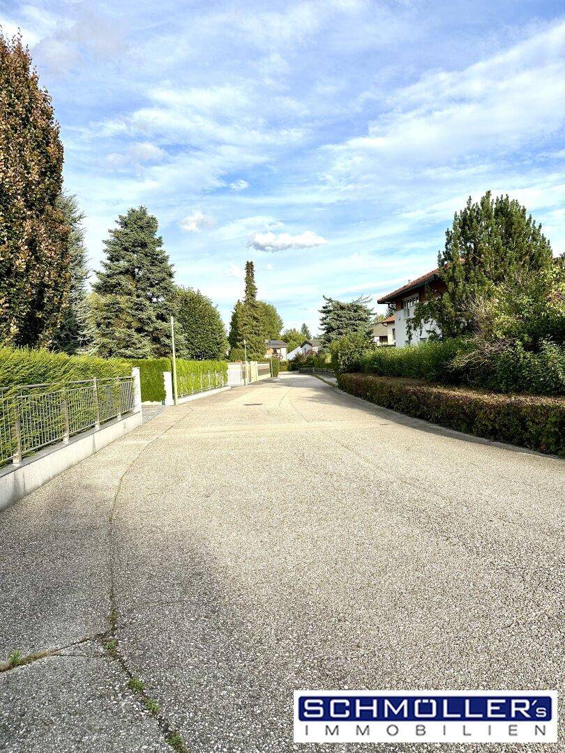 Ruhige Wohnstraße mit Bäumen und gepflegten Hecken in der Umgebung des Anwesens.