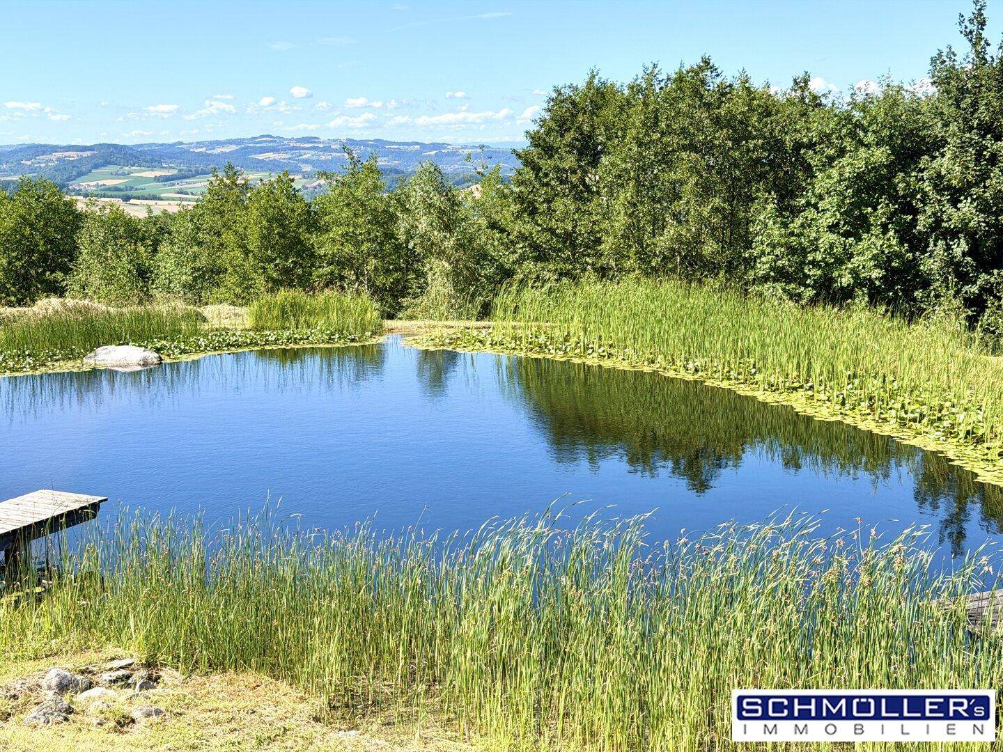 Natürlicher Teich mit Schilf und Seerosen, umgeben von grüner Landschaft und Bäumen.