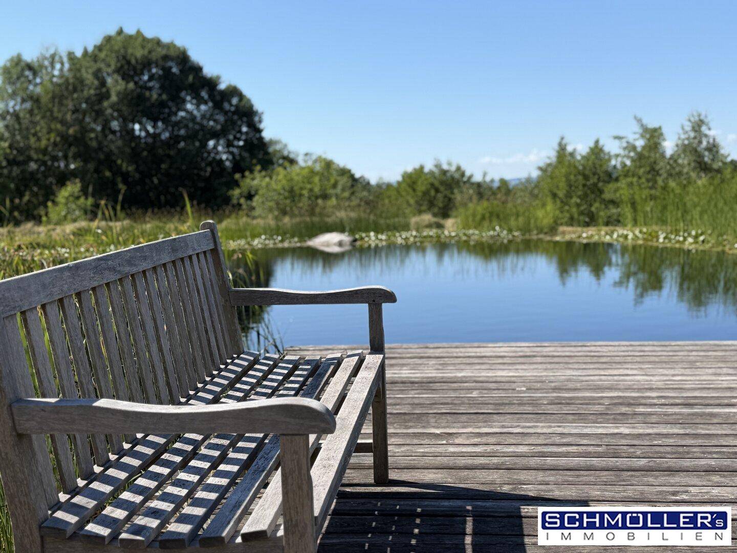 Holzbank auf einem Steg am Teich, bietet einen ruhigen Blick auf die Natur.