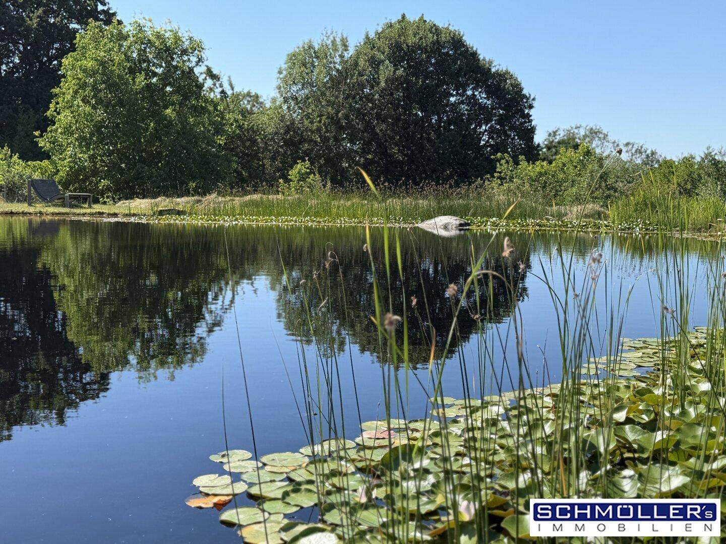 Ruhiger Teich mit Seerosen und Spiegelungen der Bäume unter blauem Himmel.