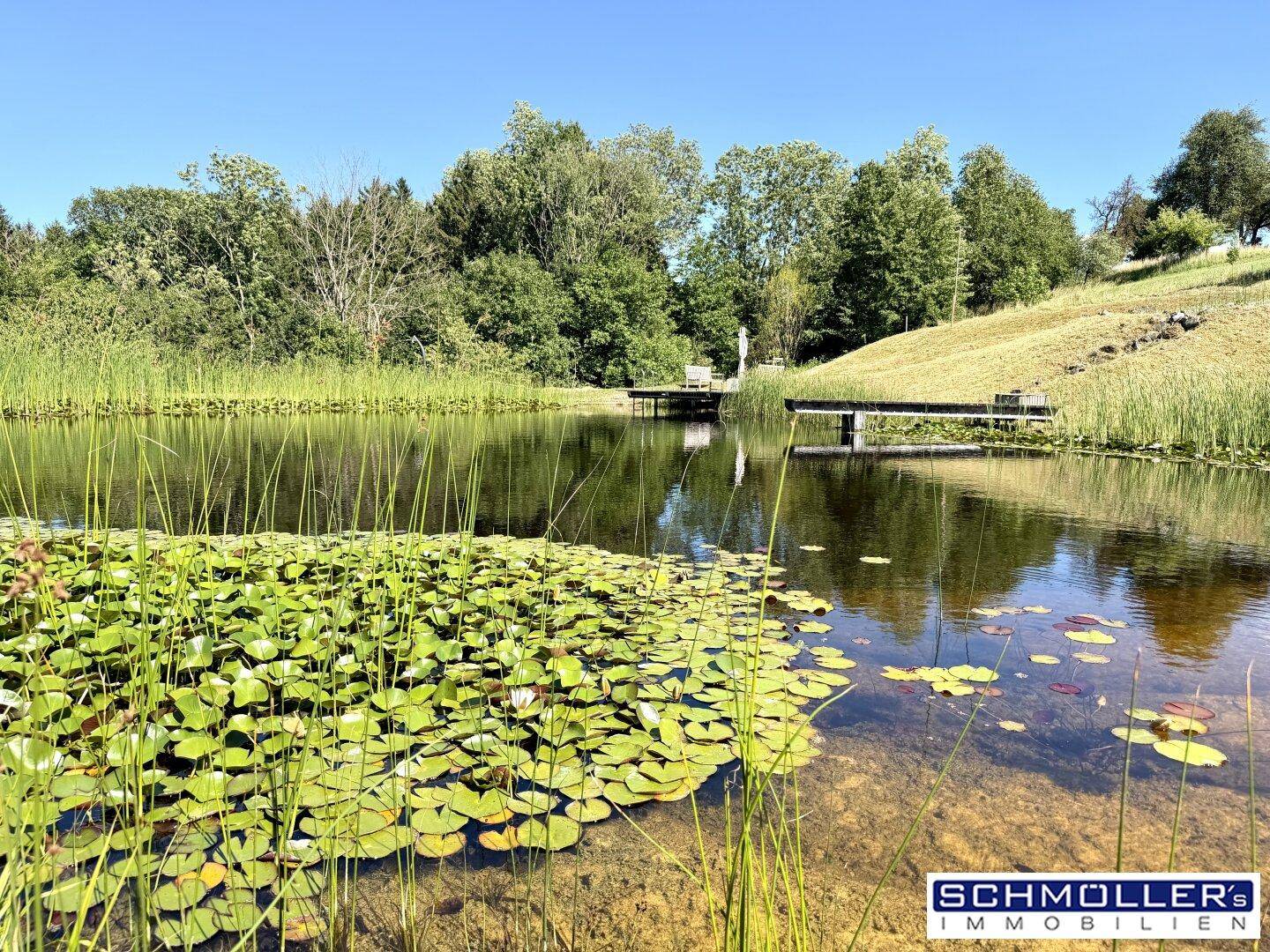 Großer Naturteich mit mehreren Holzstegen und üppiger Ufervegetation.