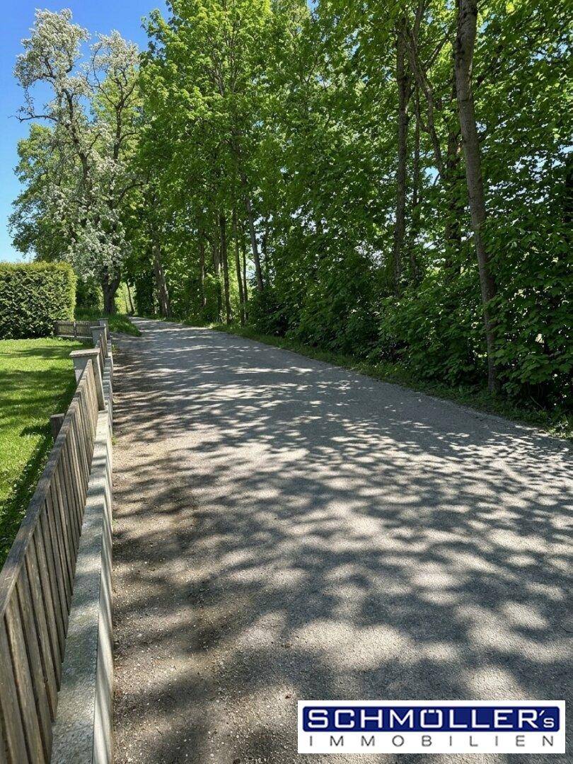 Sonniger Kiesweg gesäumt von hohen Bäumen und einem Holzzaun in ländlicher Umgebung.